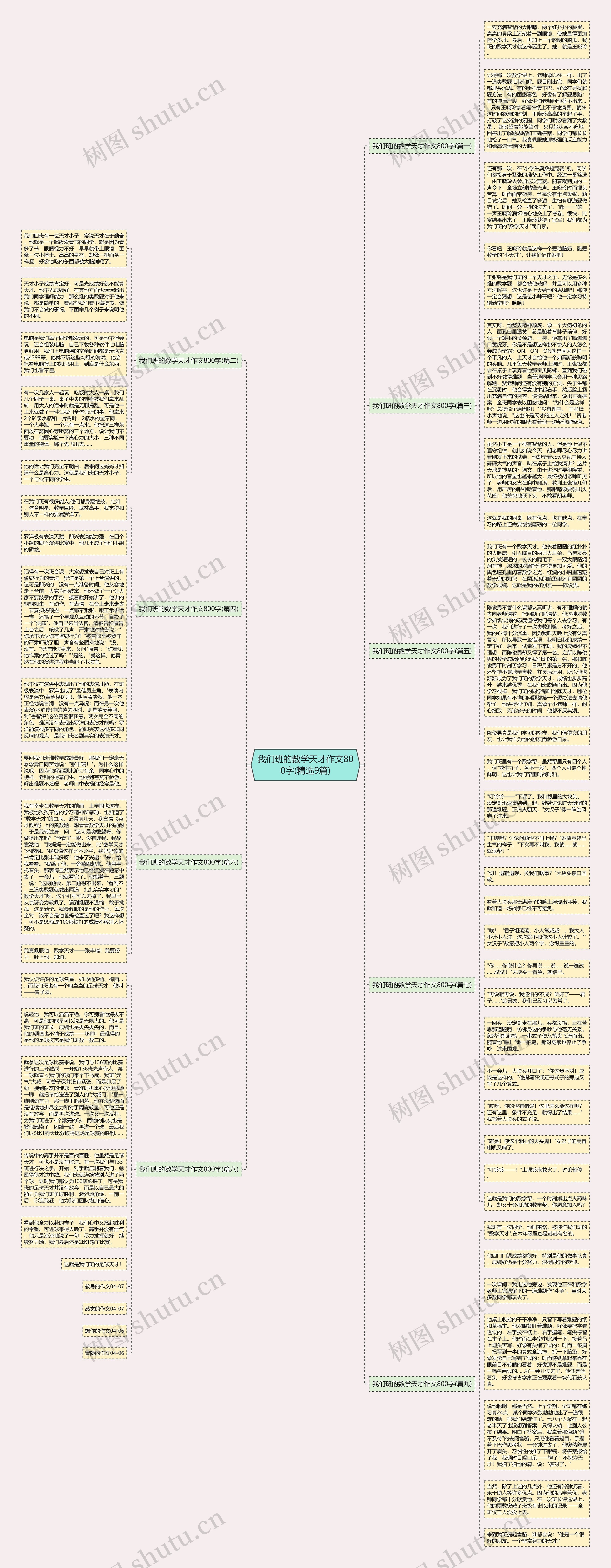 我们班的数学天才作文800字(精选9篇)