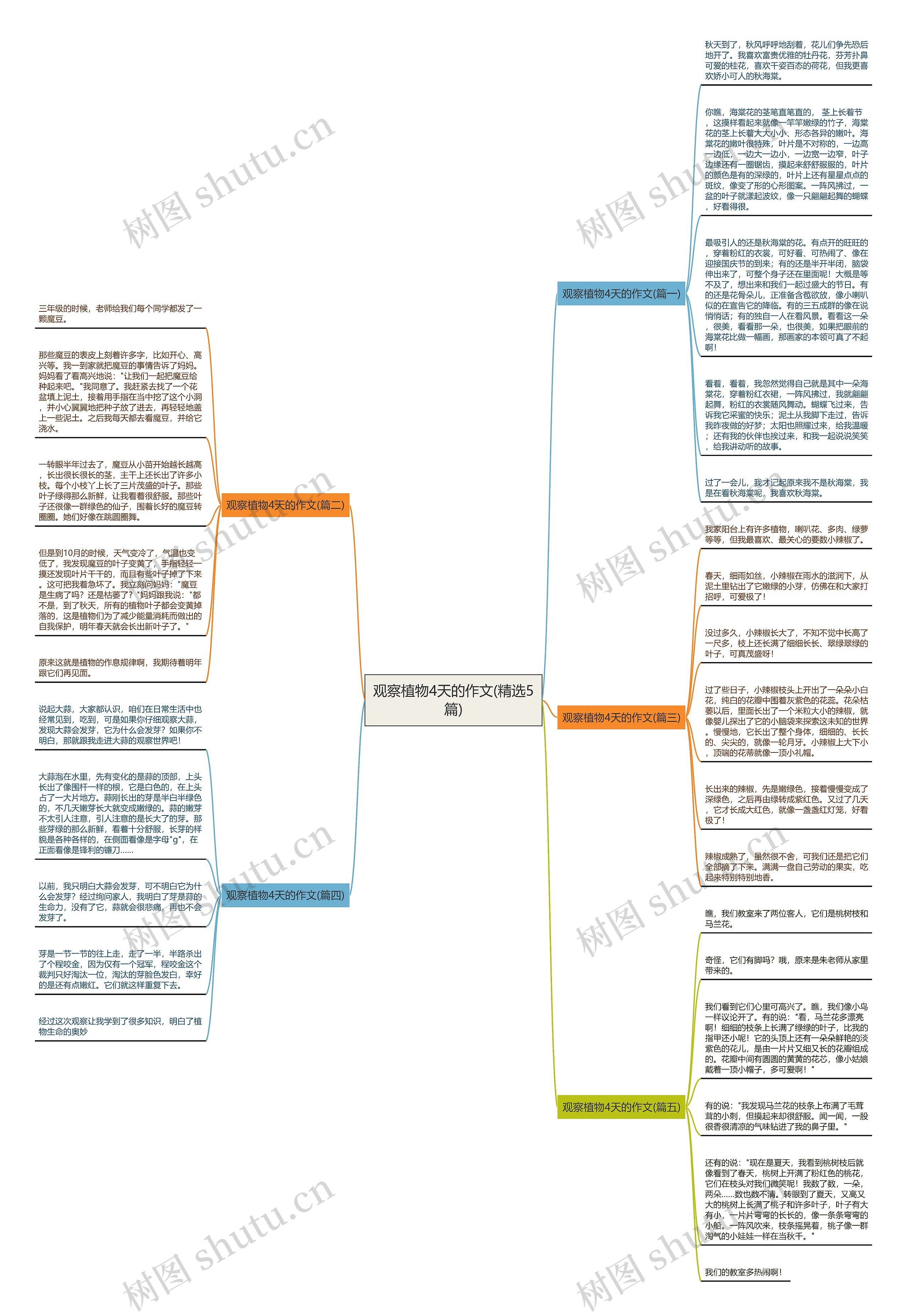 观察植物4天的作文(精选5篇)思维导图