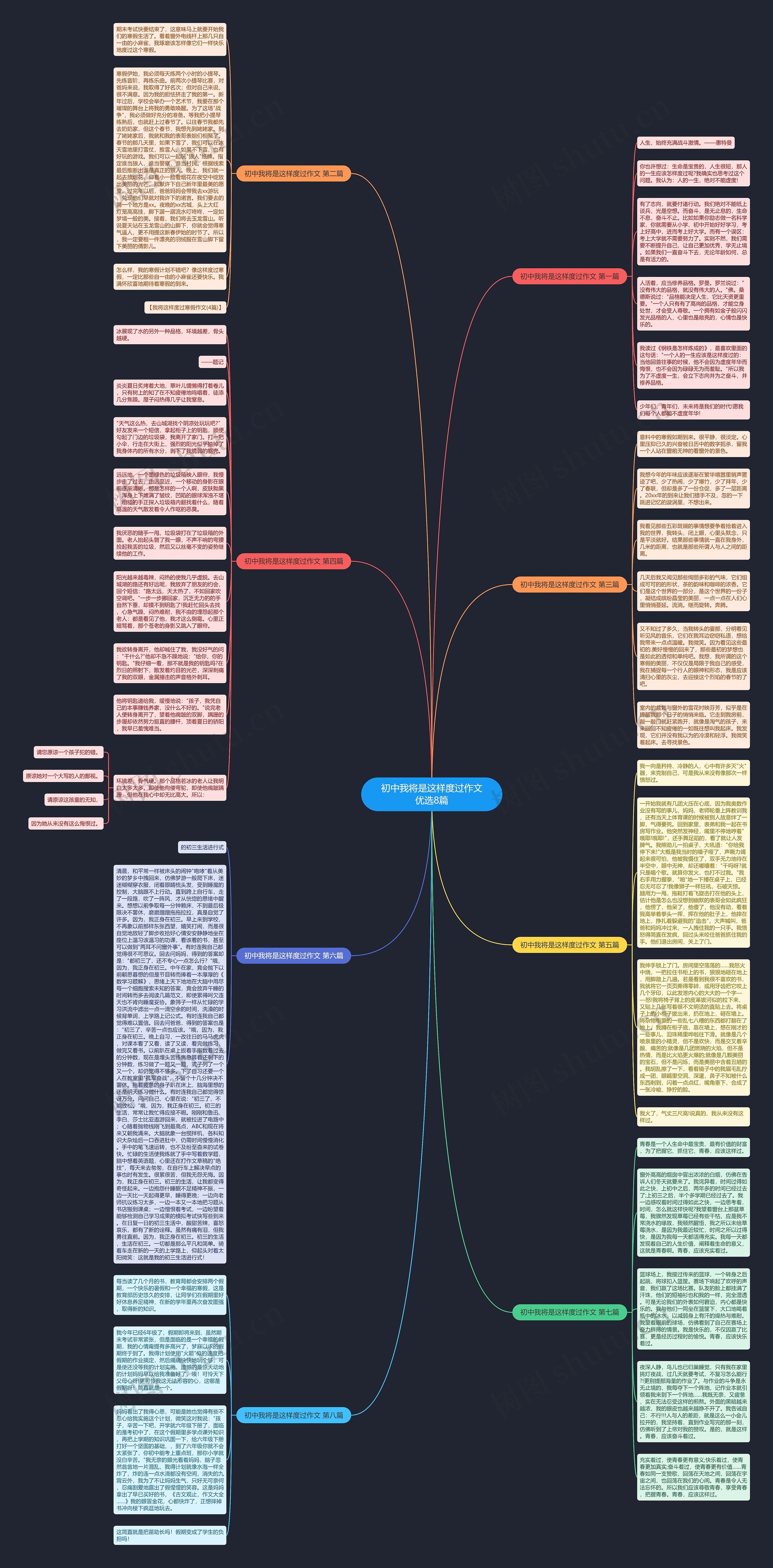 初中我将是这样度过作文优选8篇思维导图