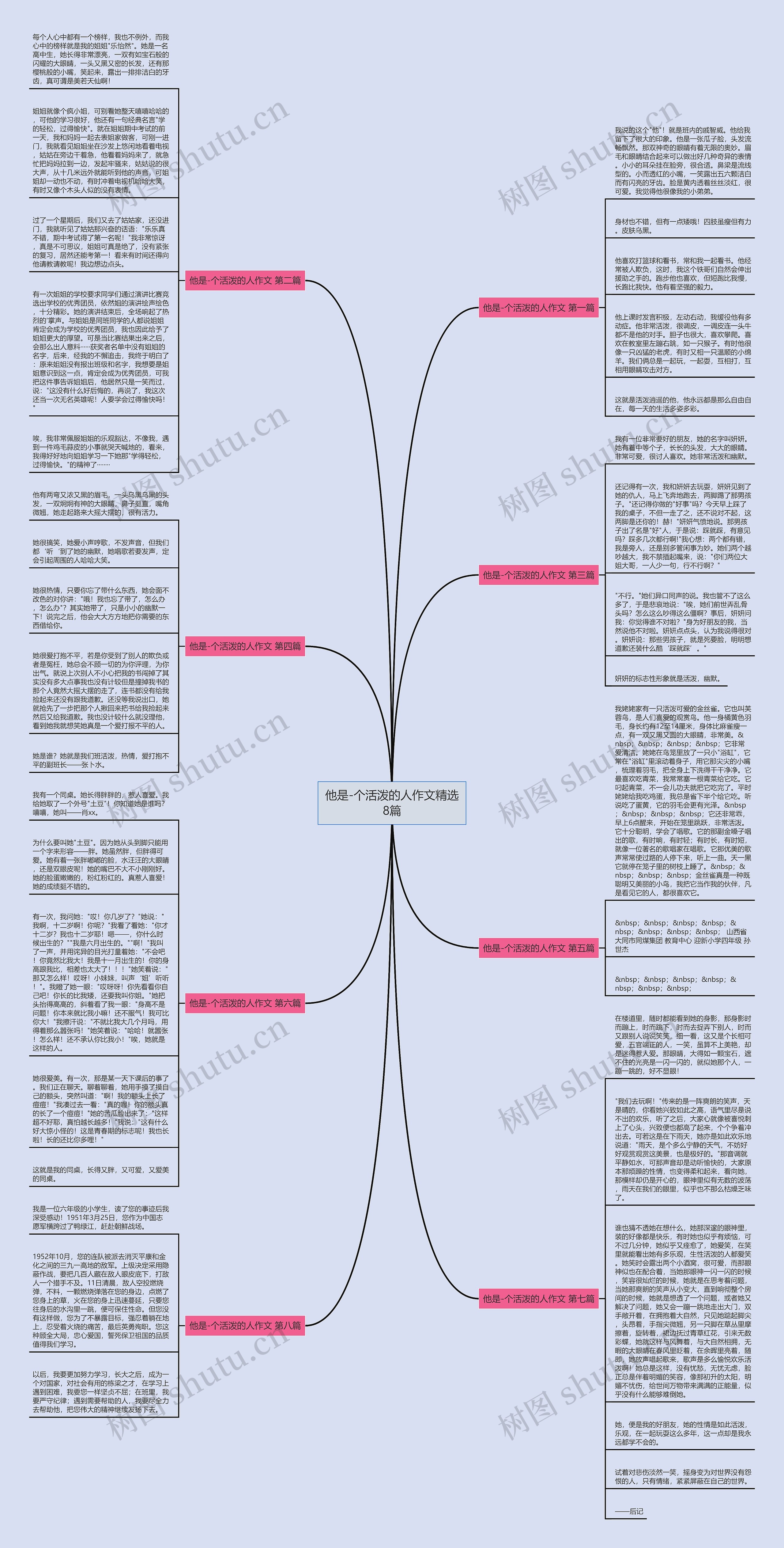 他是-个活泼的人作文精选8篇思维导图