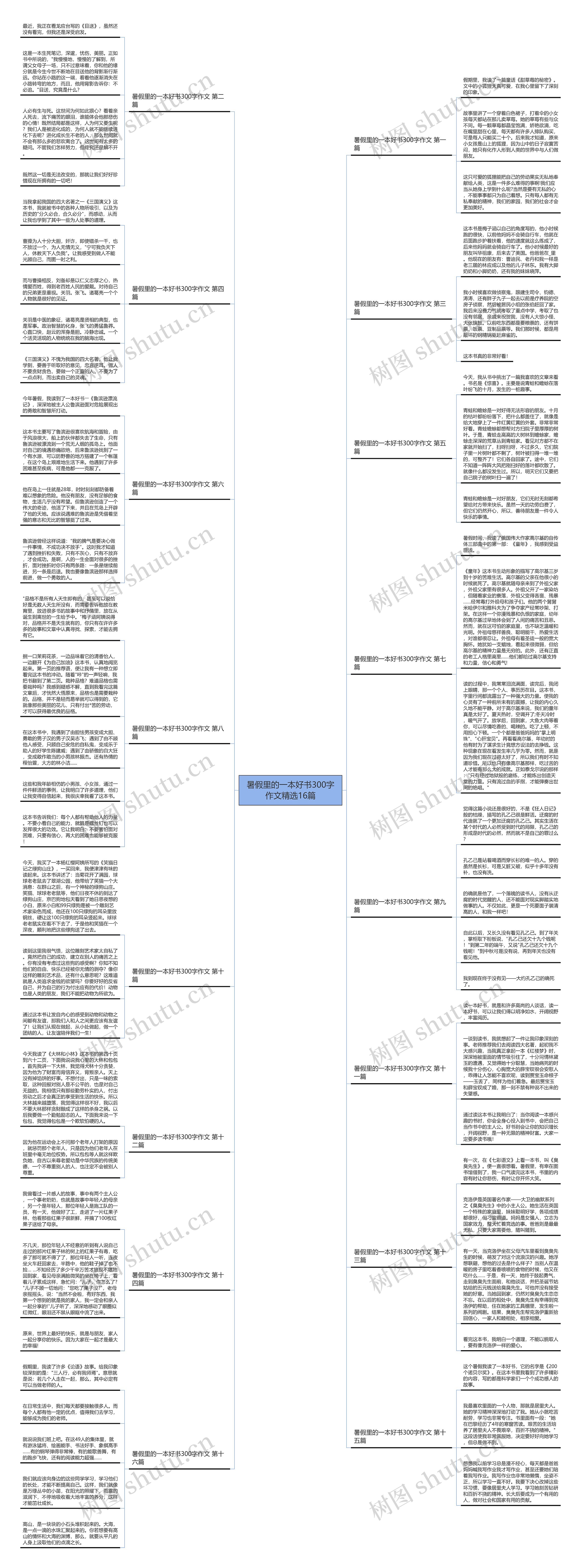 暑假里的一本好书300字作文精选16篇 暑假里的一本好书300字作文精选16篇
