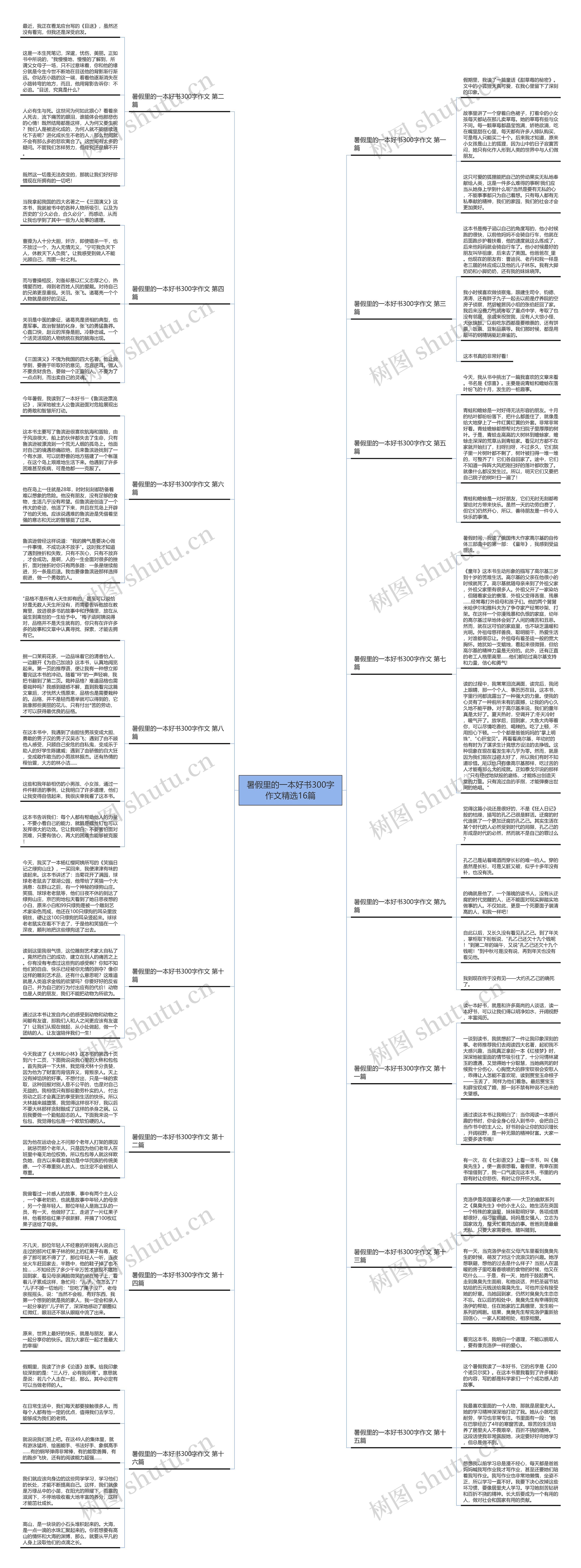 暑假里的一本好书300字作文精选16篇思维导图
