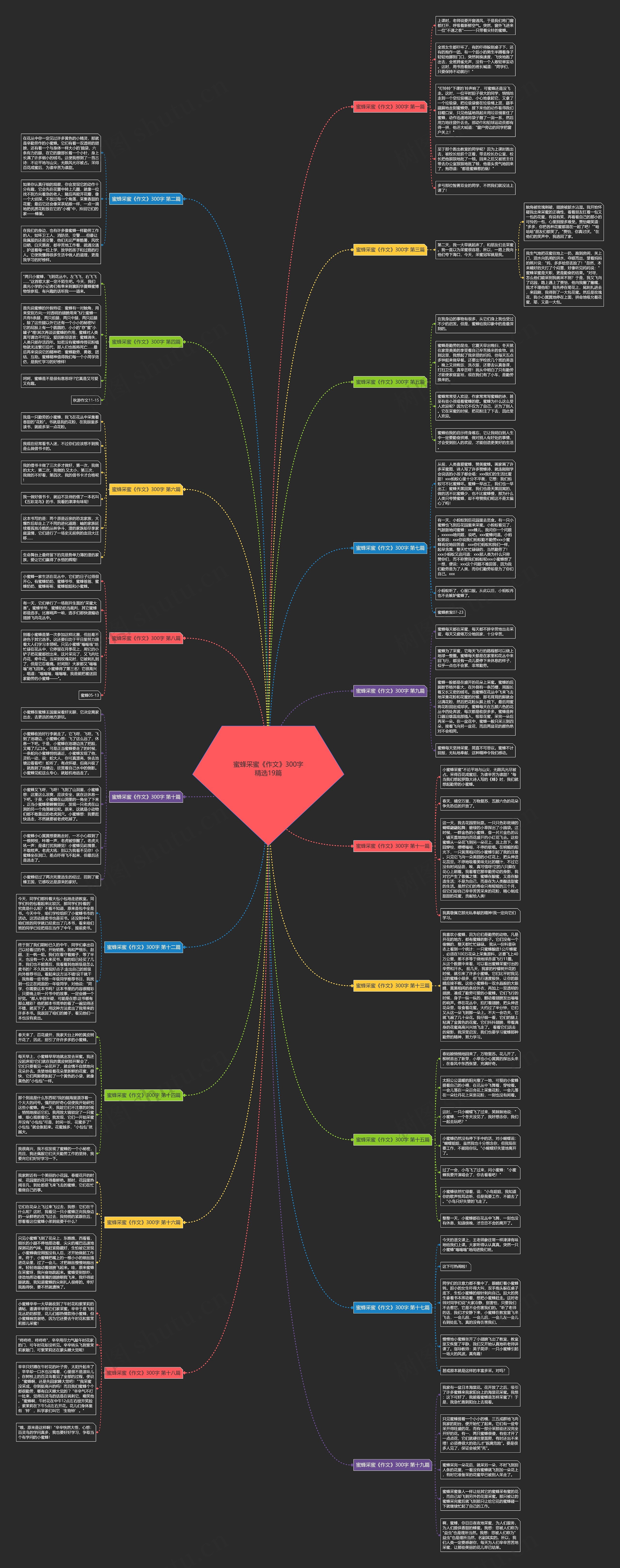 蜜蜂采蜜《作文》300字精选19篇 蜜蜂采蜜《作文》300字精选19篇