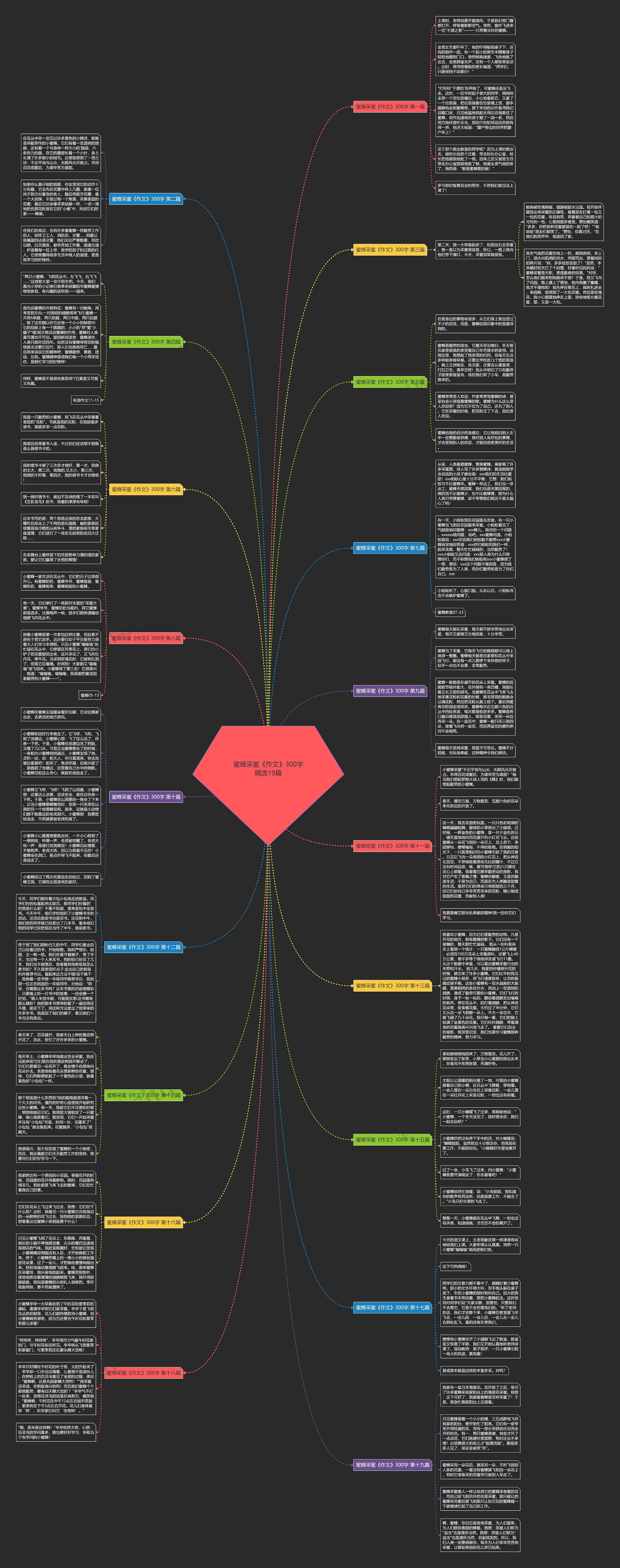 蜜蜂采蜜《作文》300字精选19篇思维导图