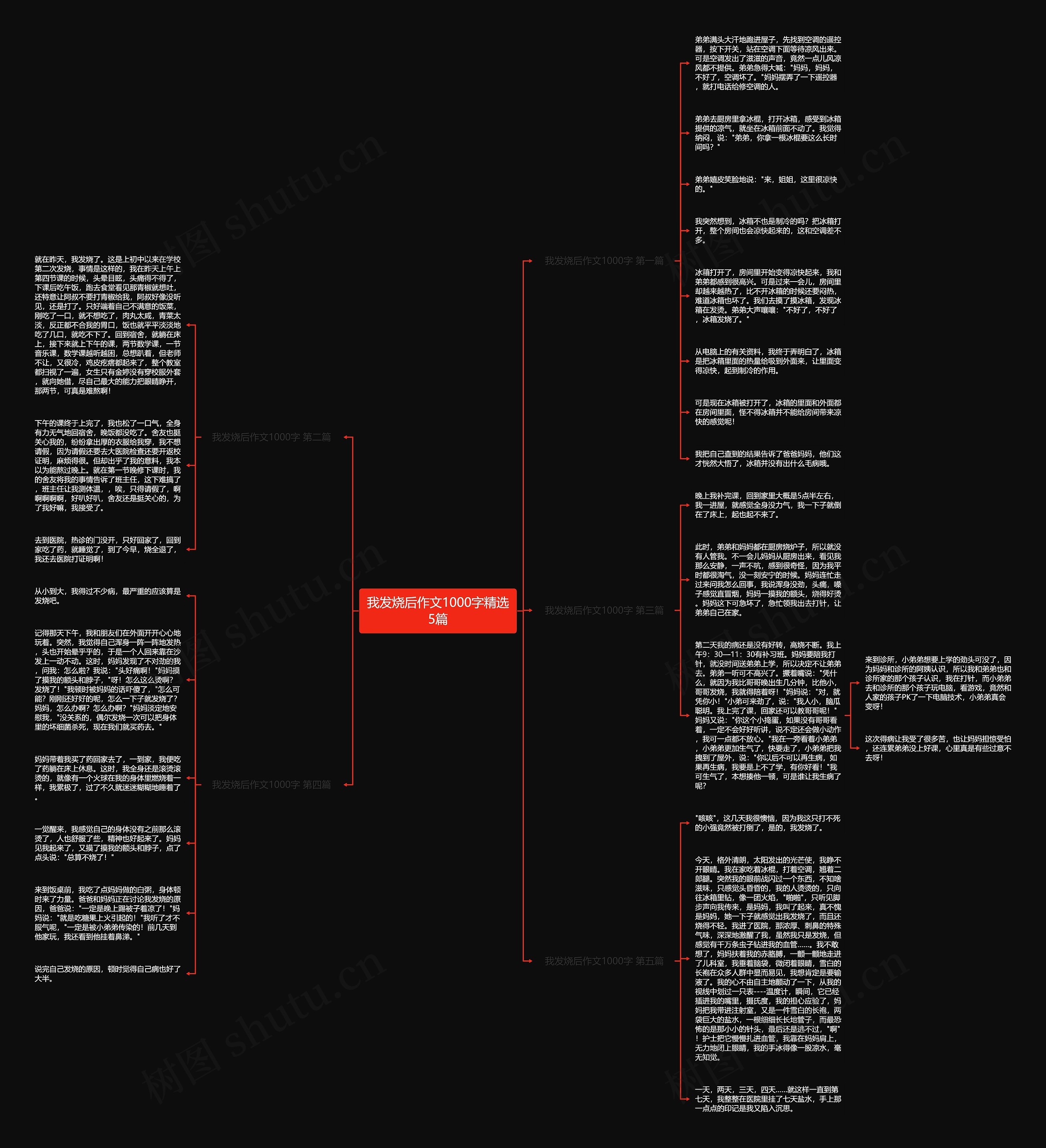 我发烧后作文1000字精选5篇思维导图