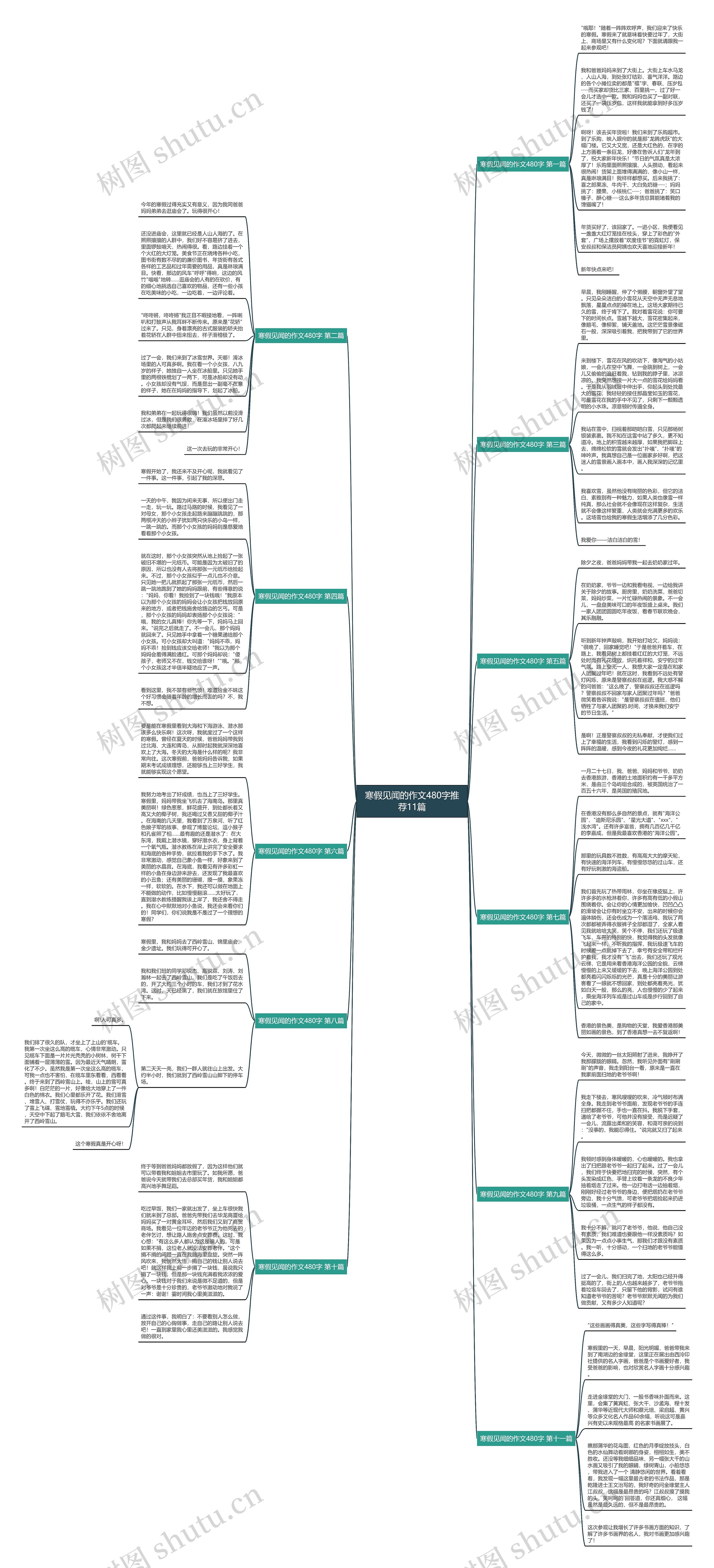 寒假见闻的作文480字推荐11篇思维导图