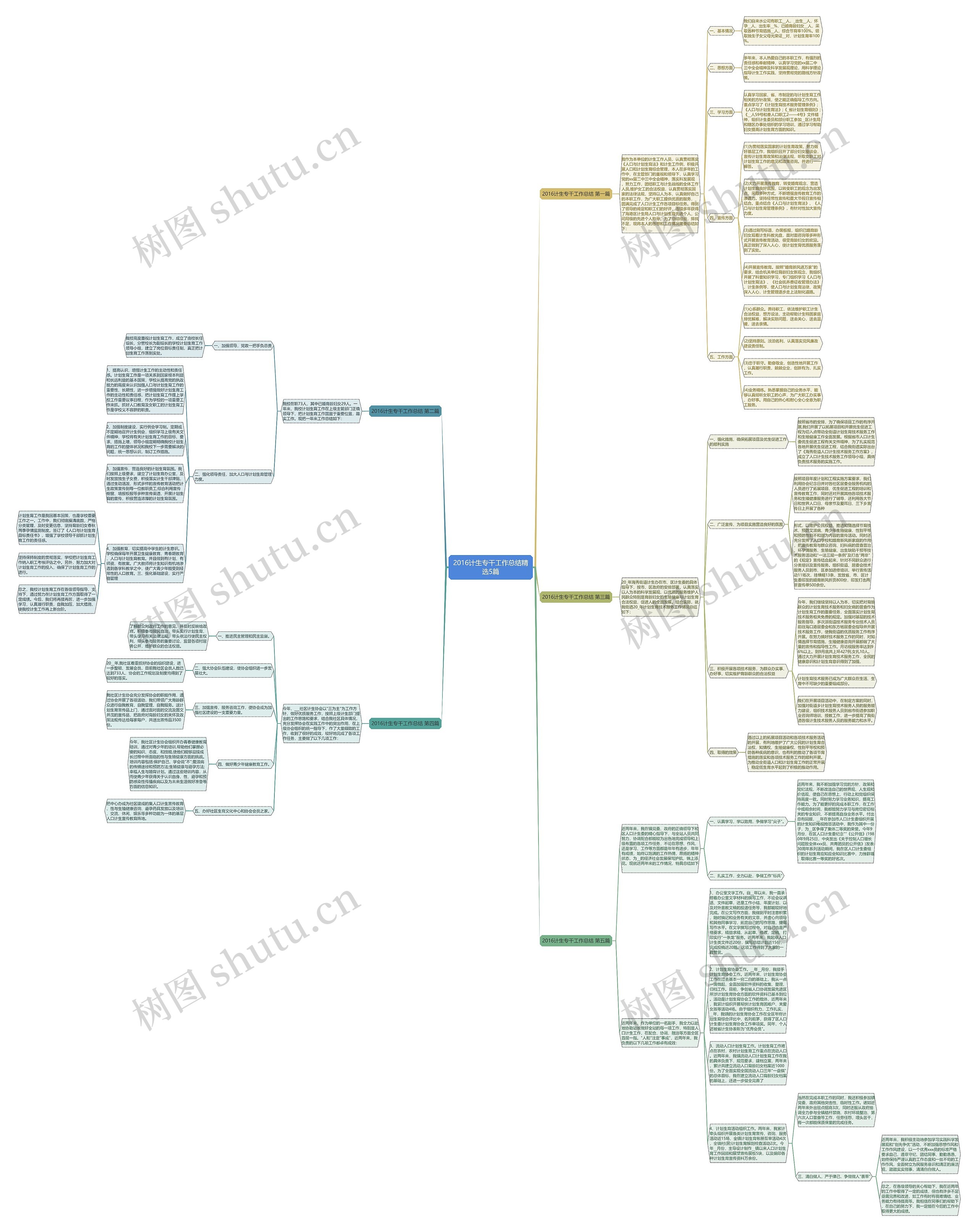 2016计生专干工作总结精选5篇思维导图