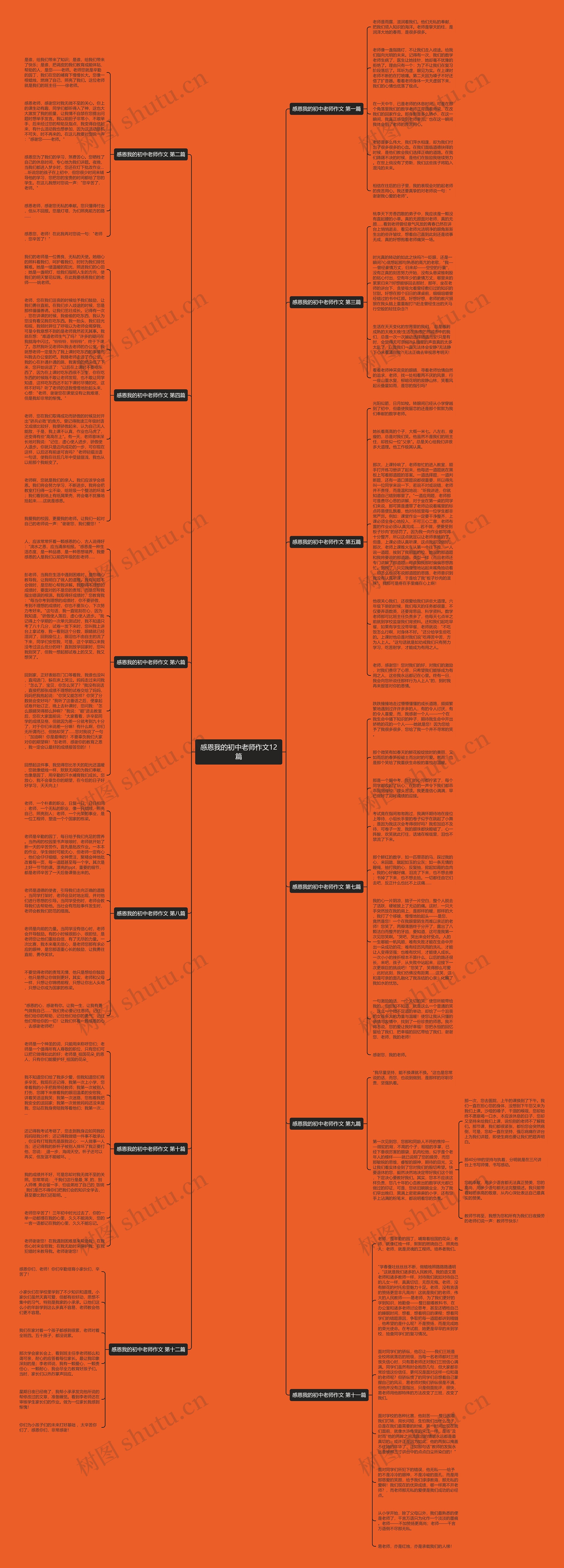 感恩我的初中老师作文12篇思维导图