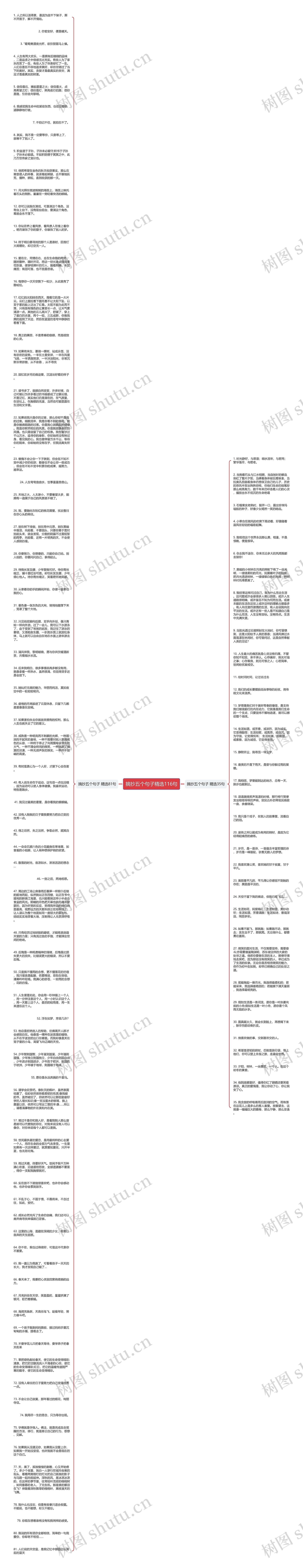 摘抄五个句子精选116句思维导图