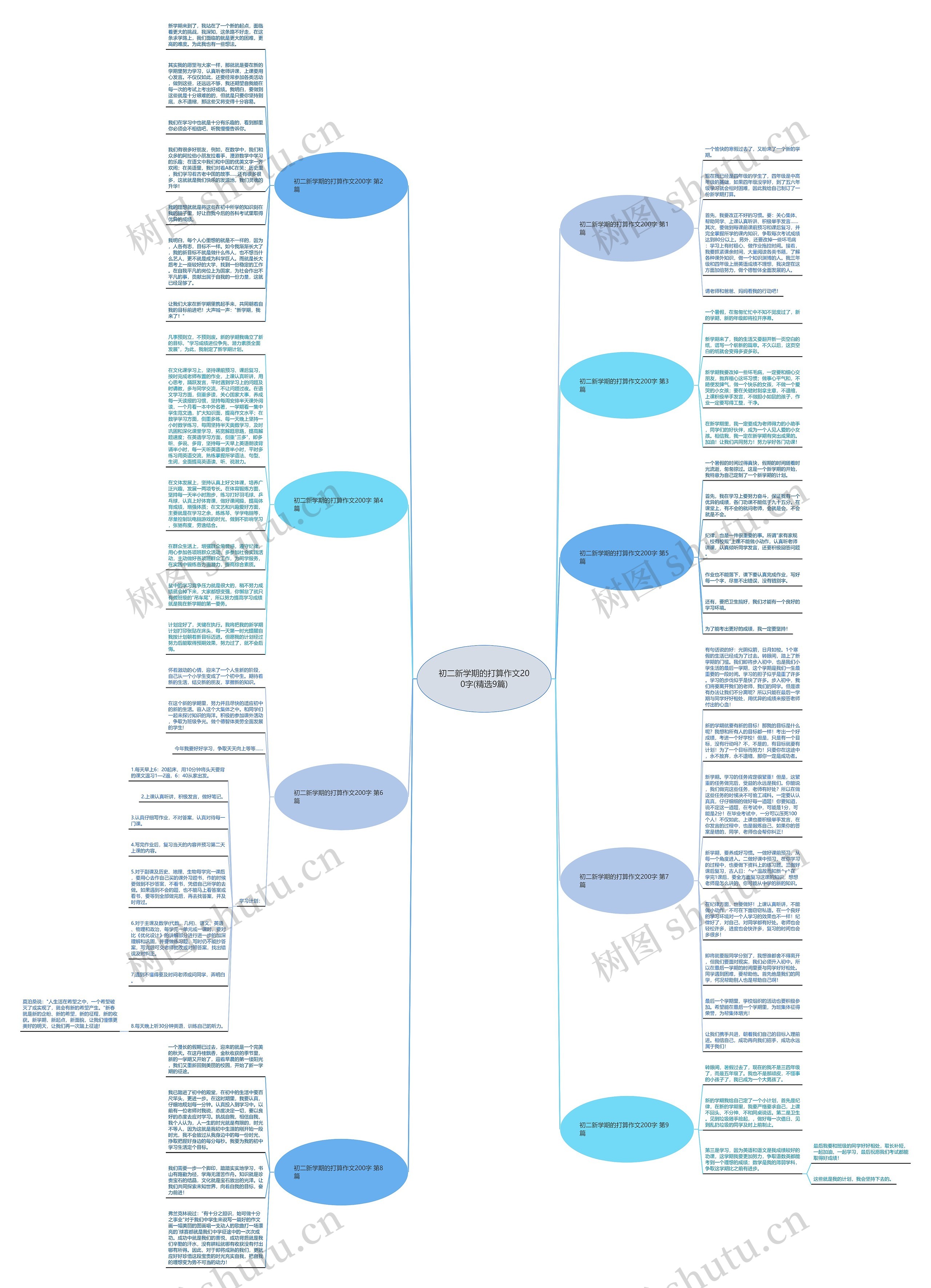 初二新学期的打算作文200字(精选9篇)思维导图