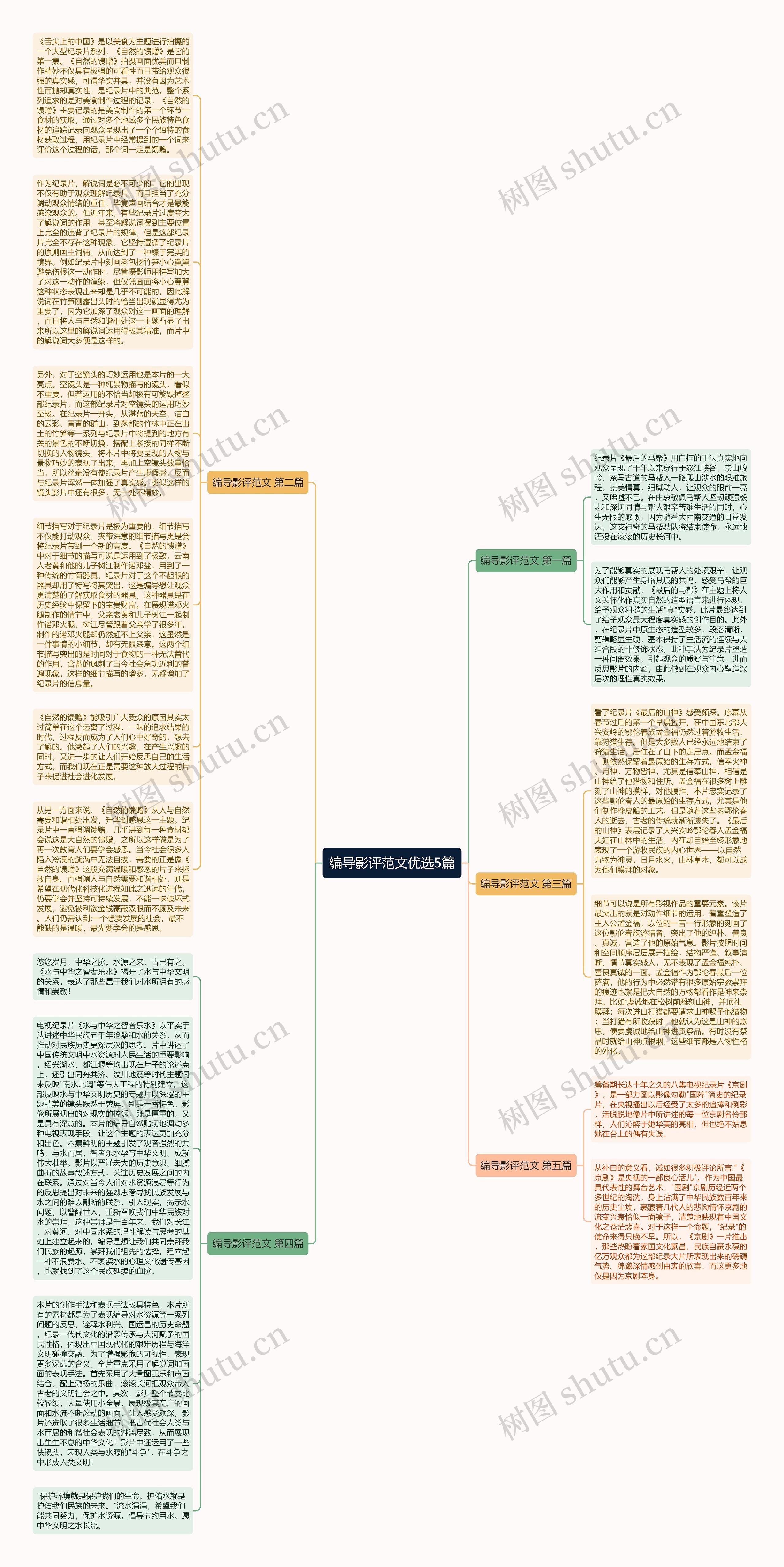 编导影评范文优选5篇思维导图
