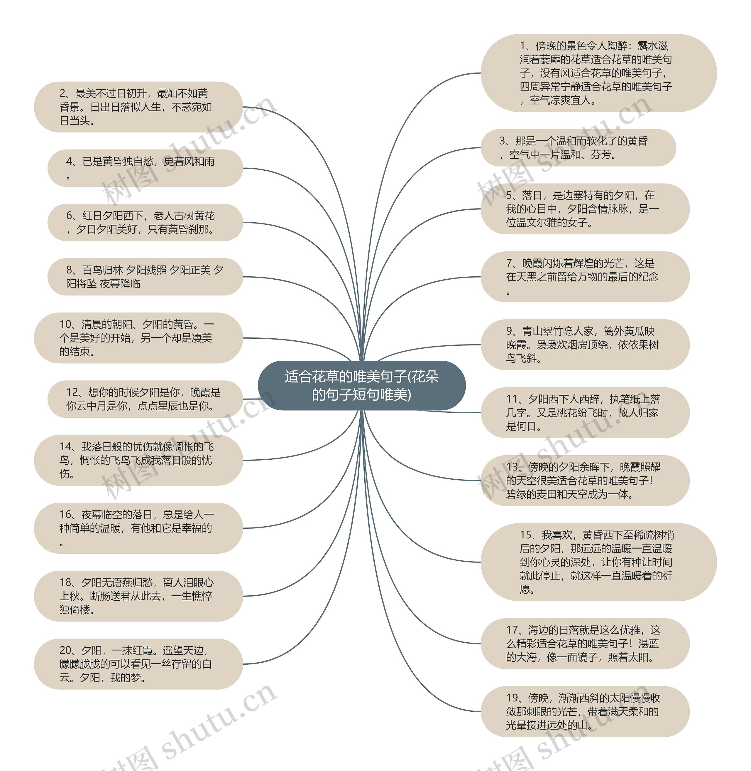 适合花草的唯美句子(花朵的句子短句唯美)思维导图