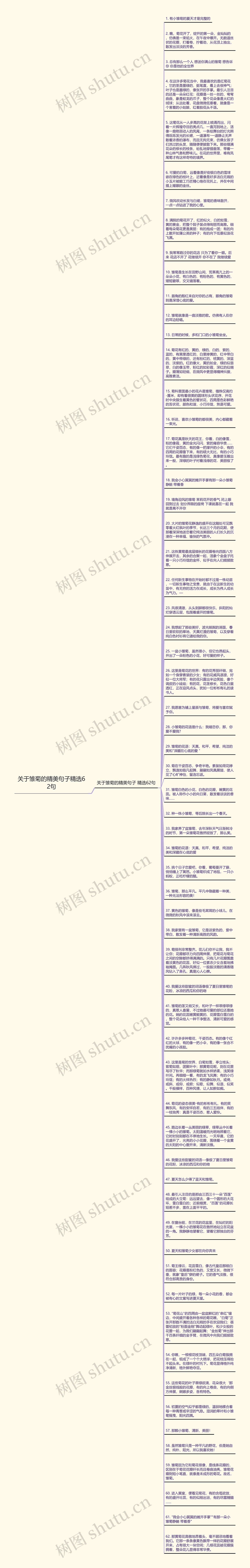 关于雏菊的精美句子精选62句思维导图