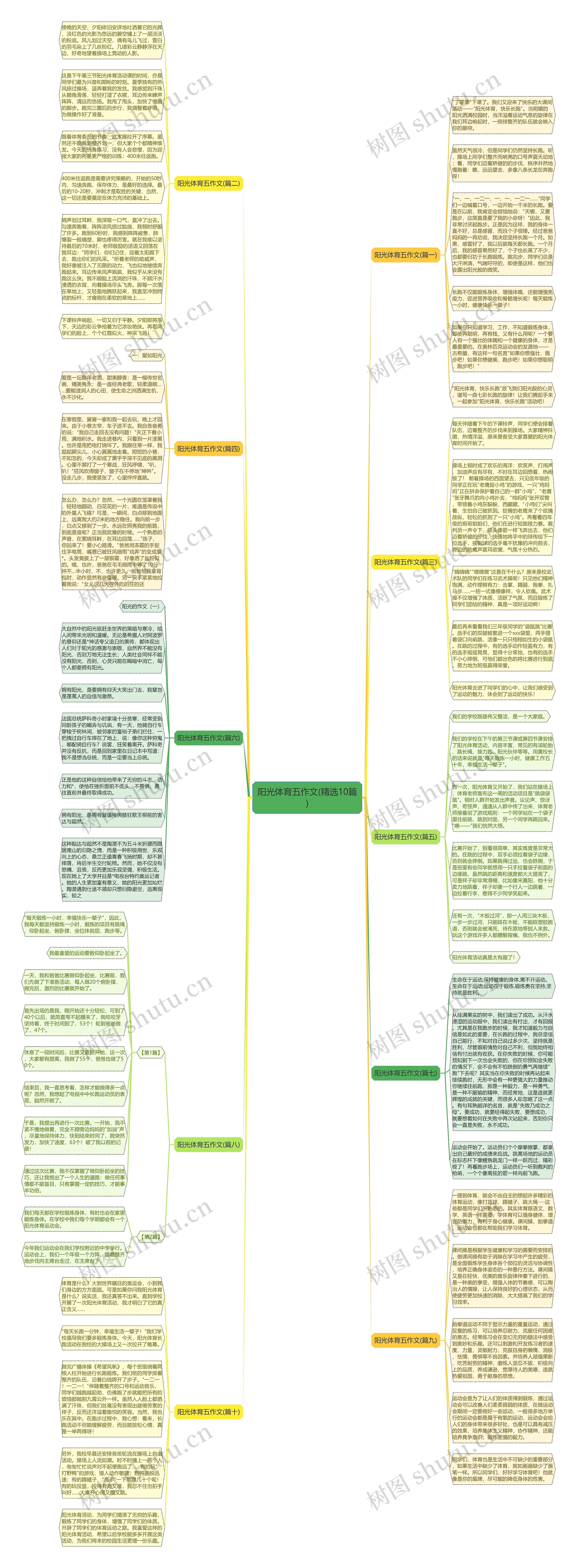 阳光体育五作文(精选10篇)思维导图