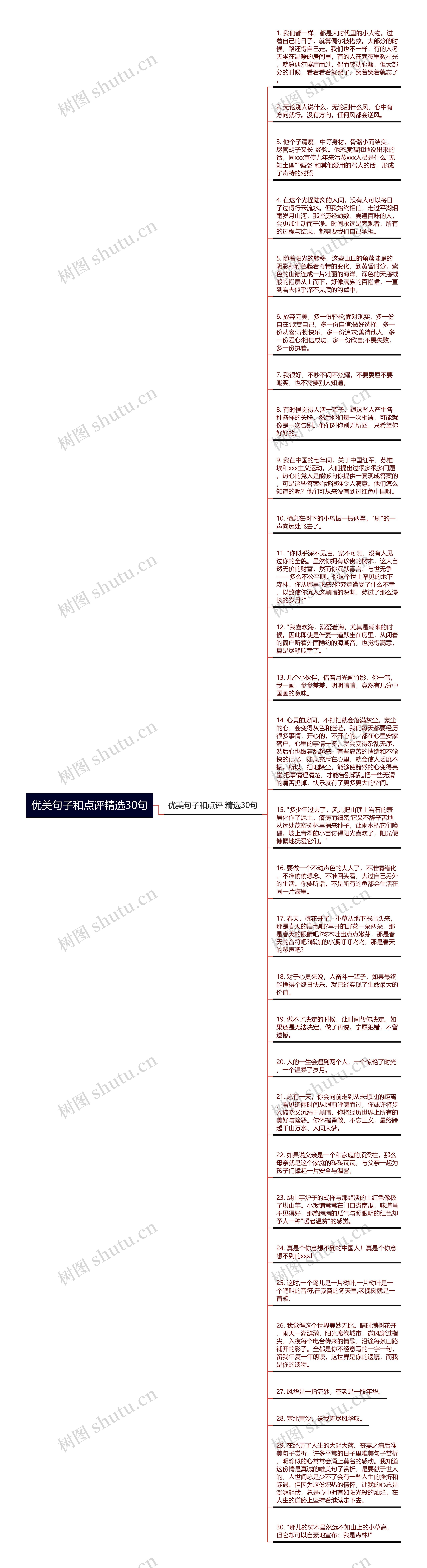 优美句子和点评精选30句思维导图