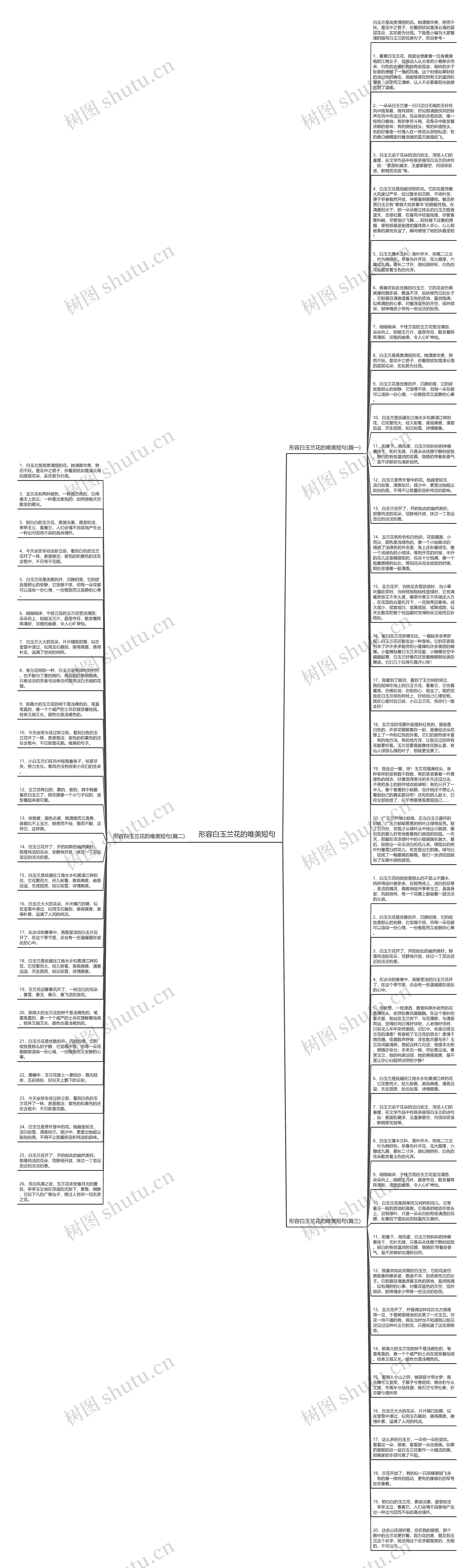形容白玉兰花的唯美短句思维导图