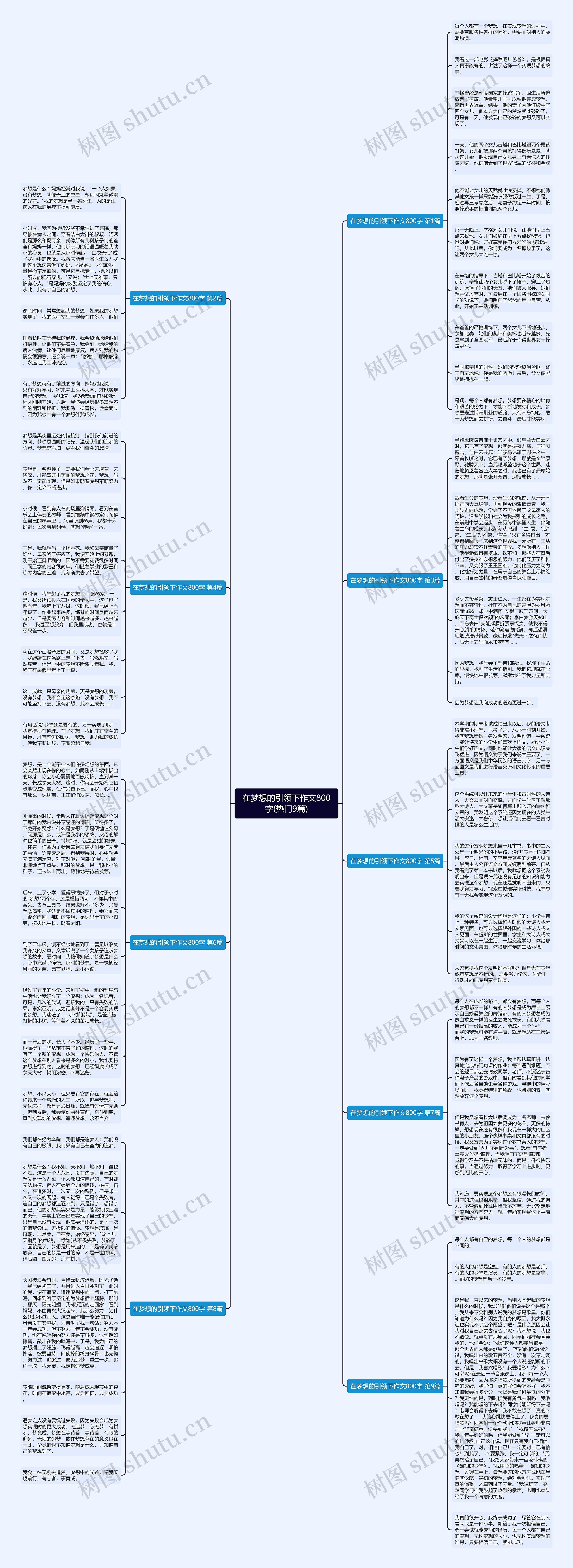 在梦想的引领下作文800字(热门9篇)思维导图