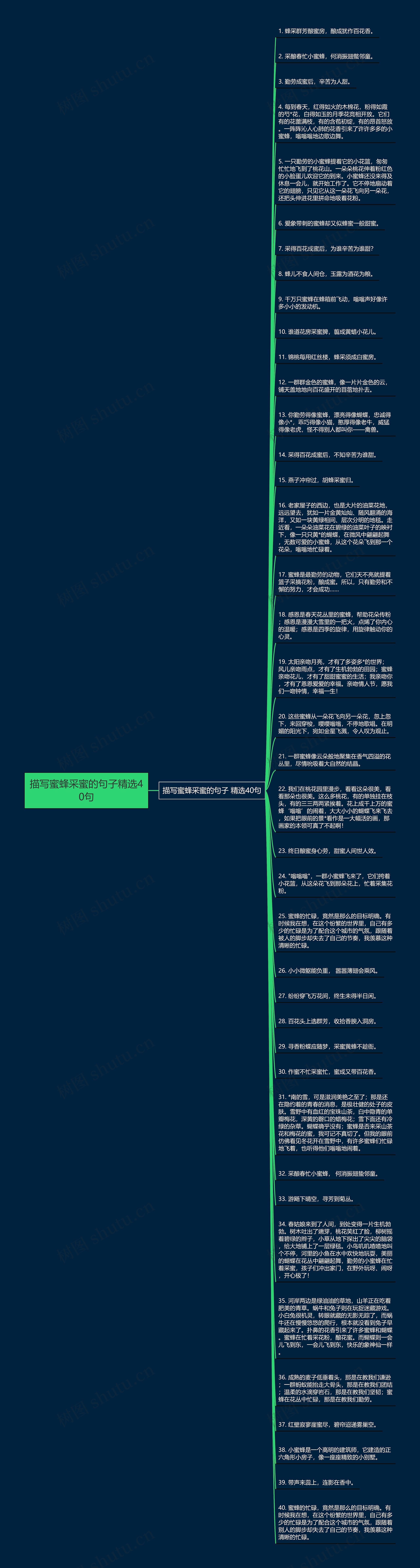 描写蜜蜂采蜜的句子精选40句思维导图