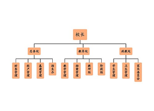 学校组织架构图