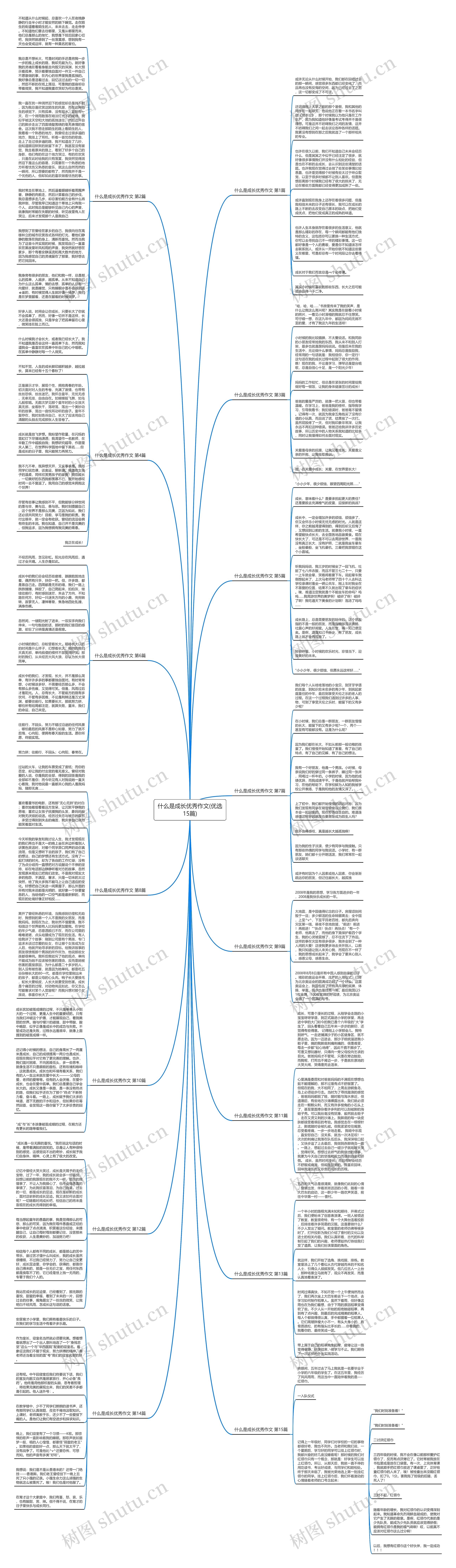 什么是成长优秀作文(优选15篇)思维导图