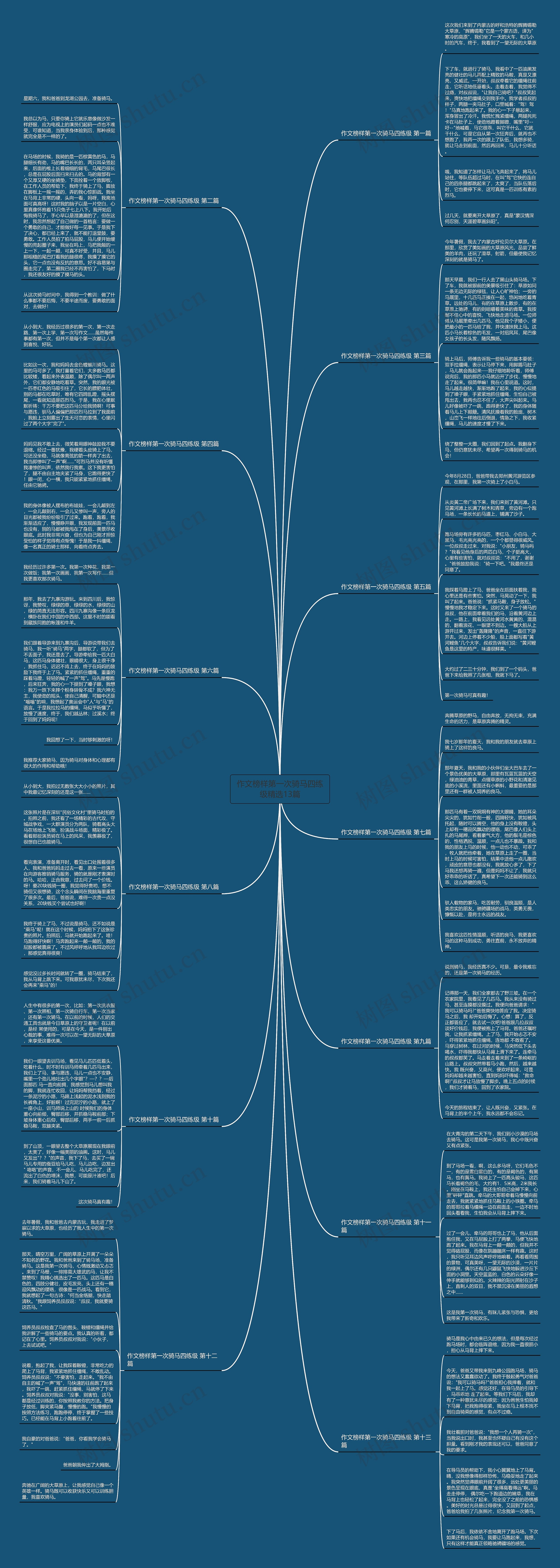 作文榜样第一次骑马四练级精选13篇思维导图