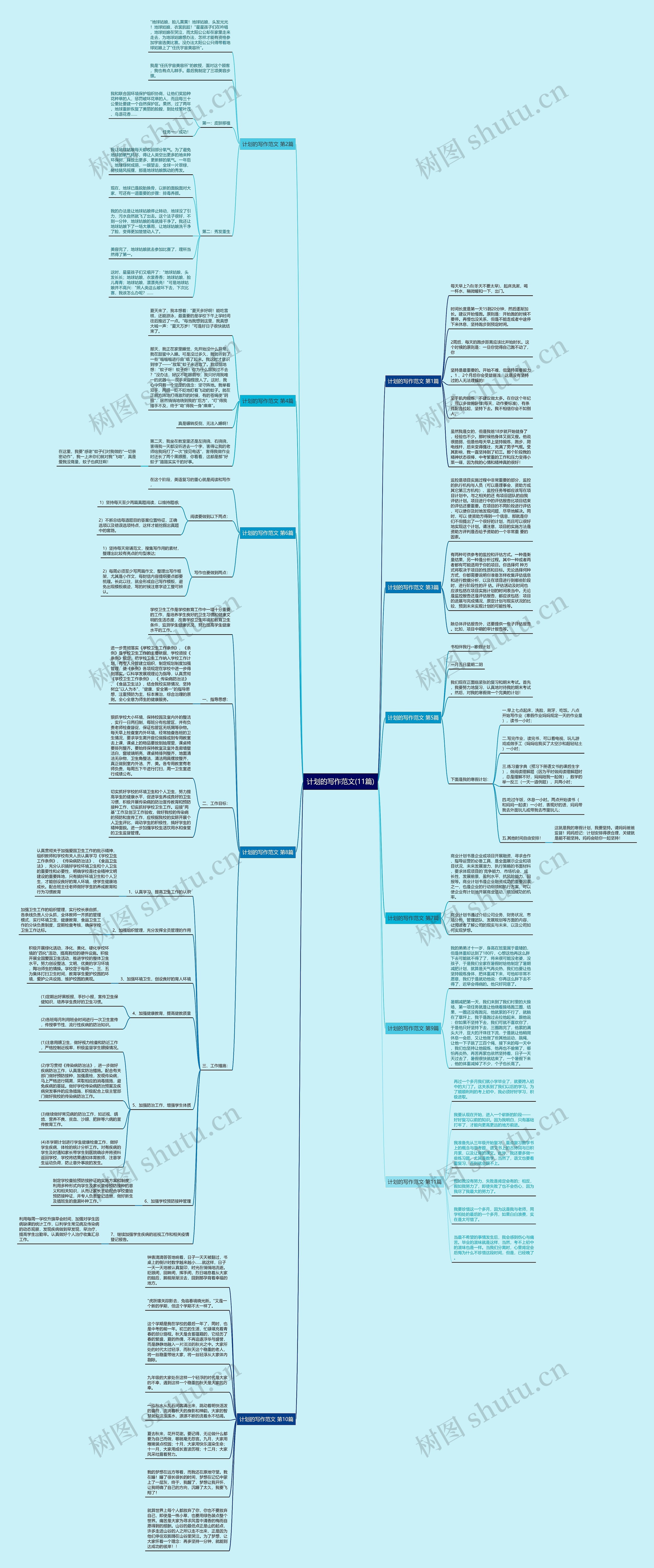 计划的写作范文(11篇)思维导图