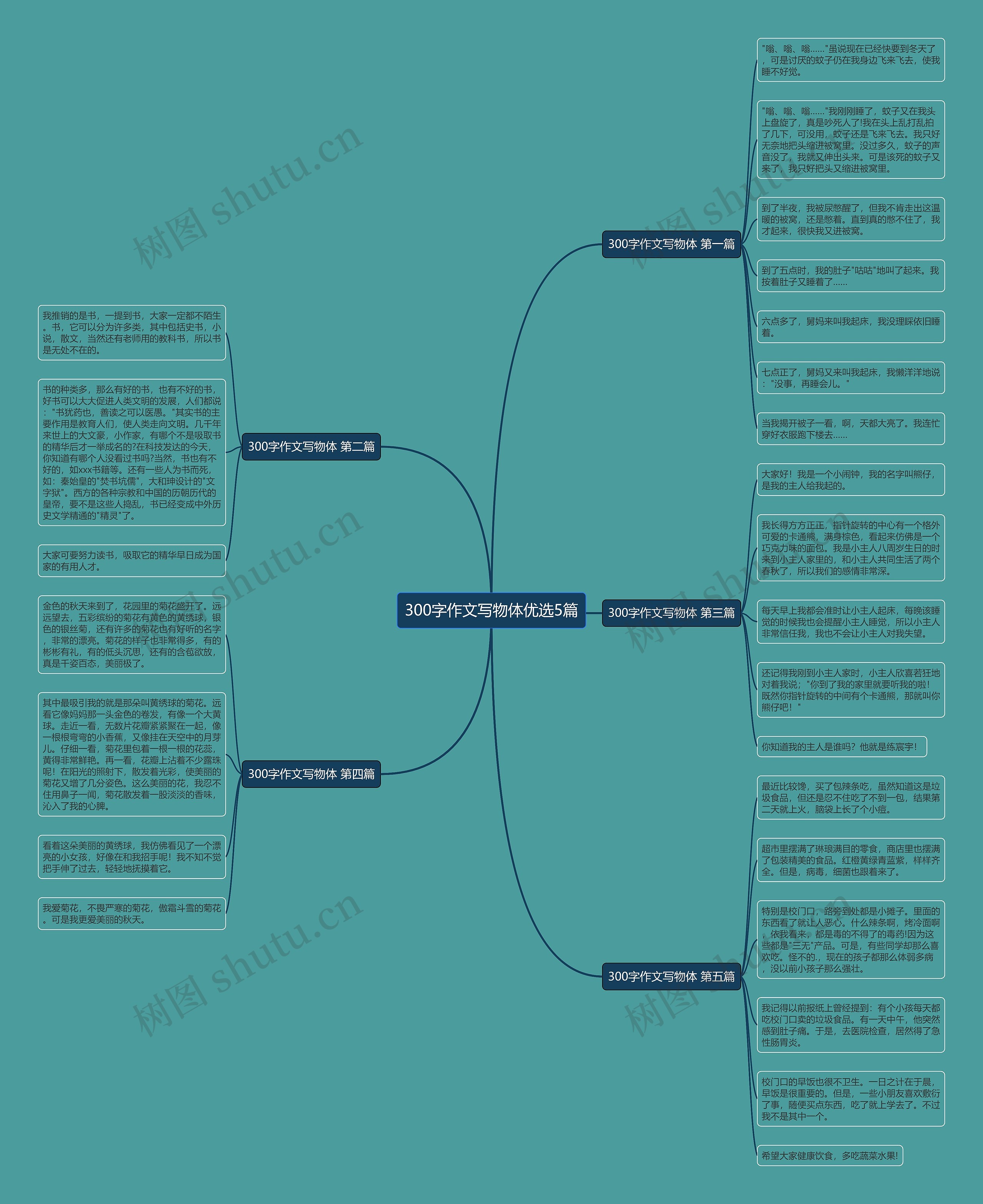 300字作文写物体优选5篇 300字作文写物体优选5篇