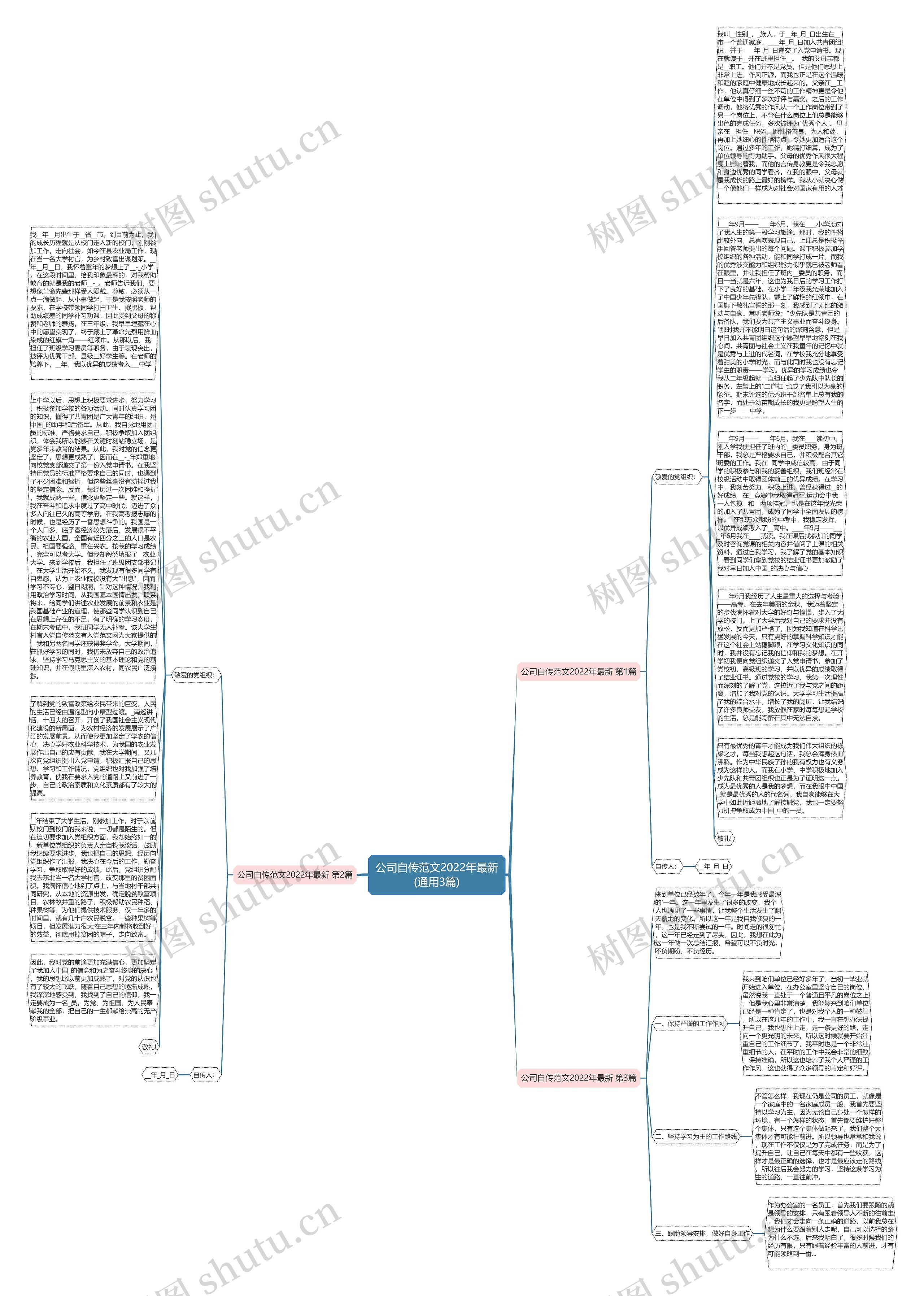 公司自传范文2022年最新(通用3篇)思维导图