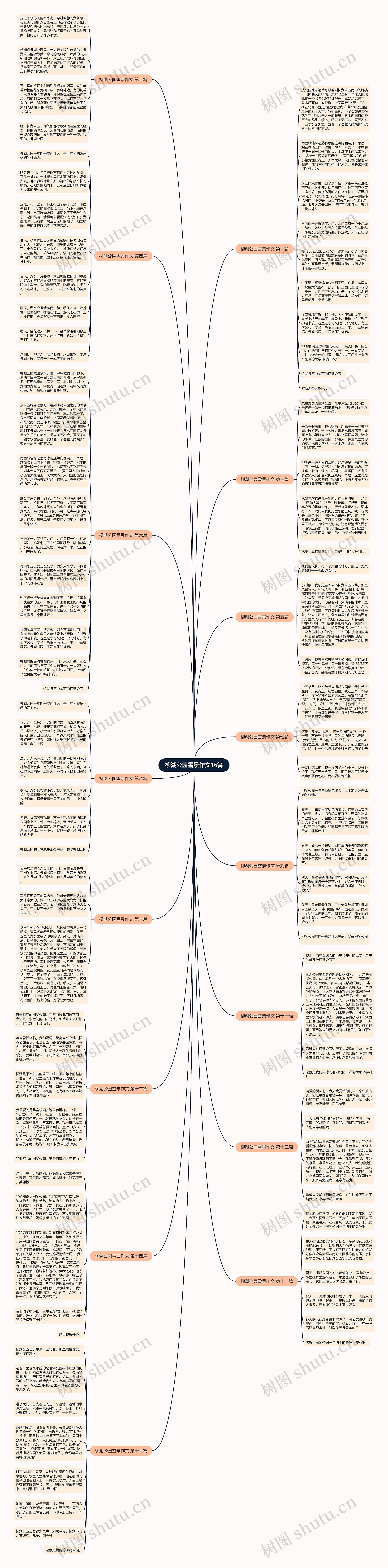 柳湖公园雪景作文16篇思维导图