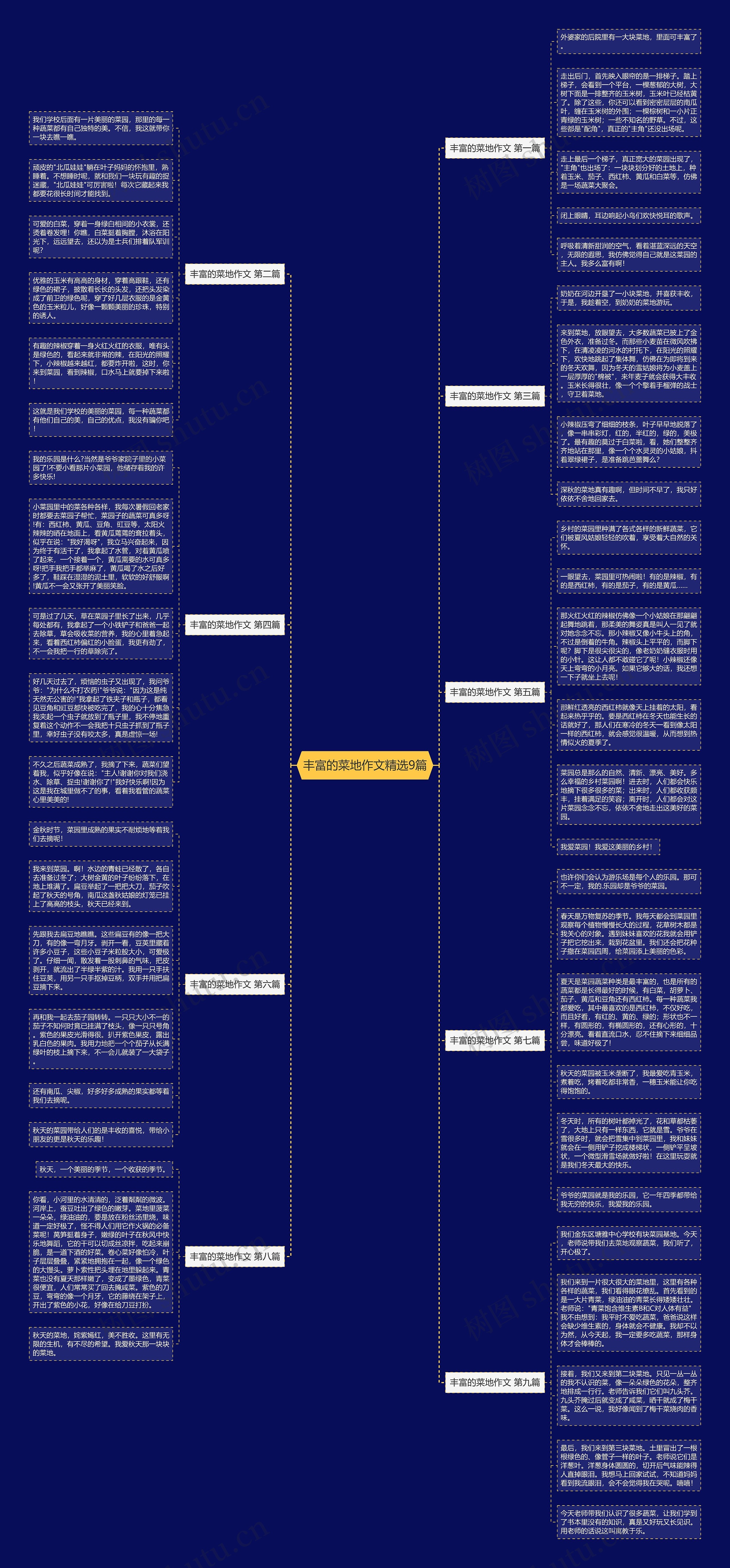 丰富的菜地作文精选9篇 丰富的菜地作文精选9篇