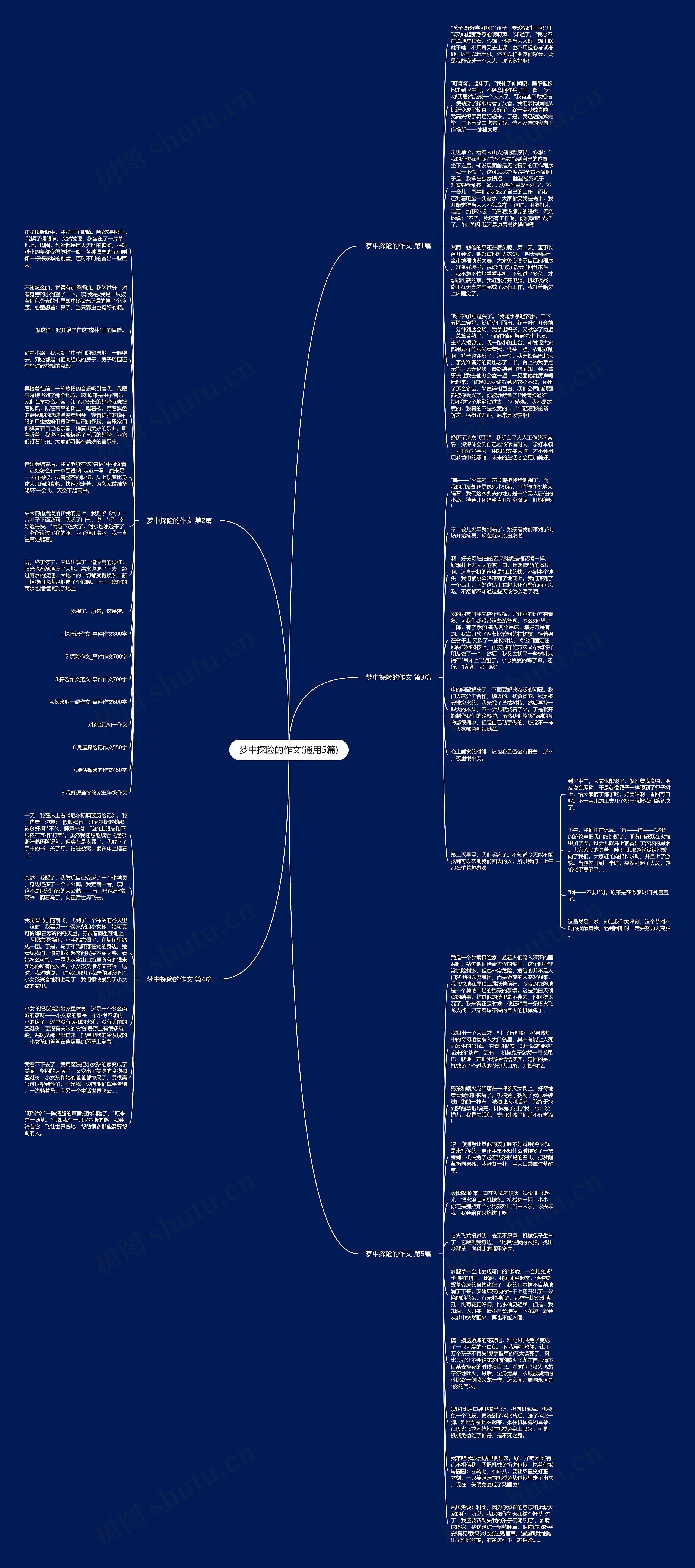 梦中探险的作文(通用5篇)