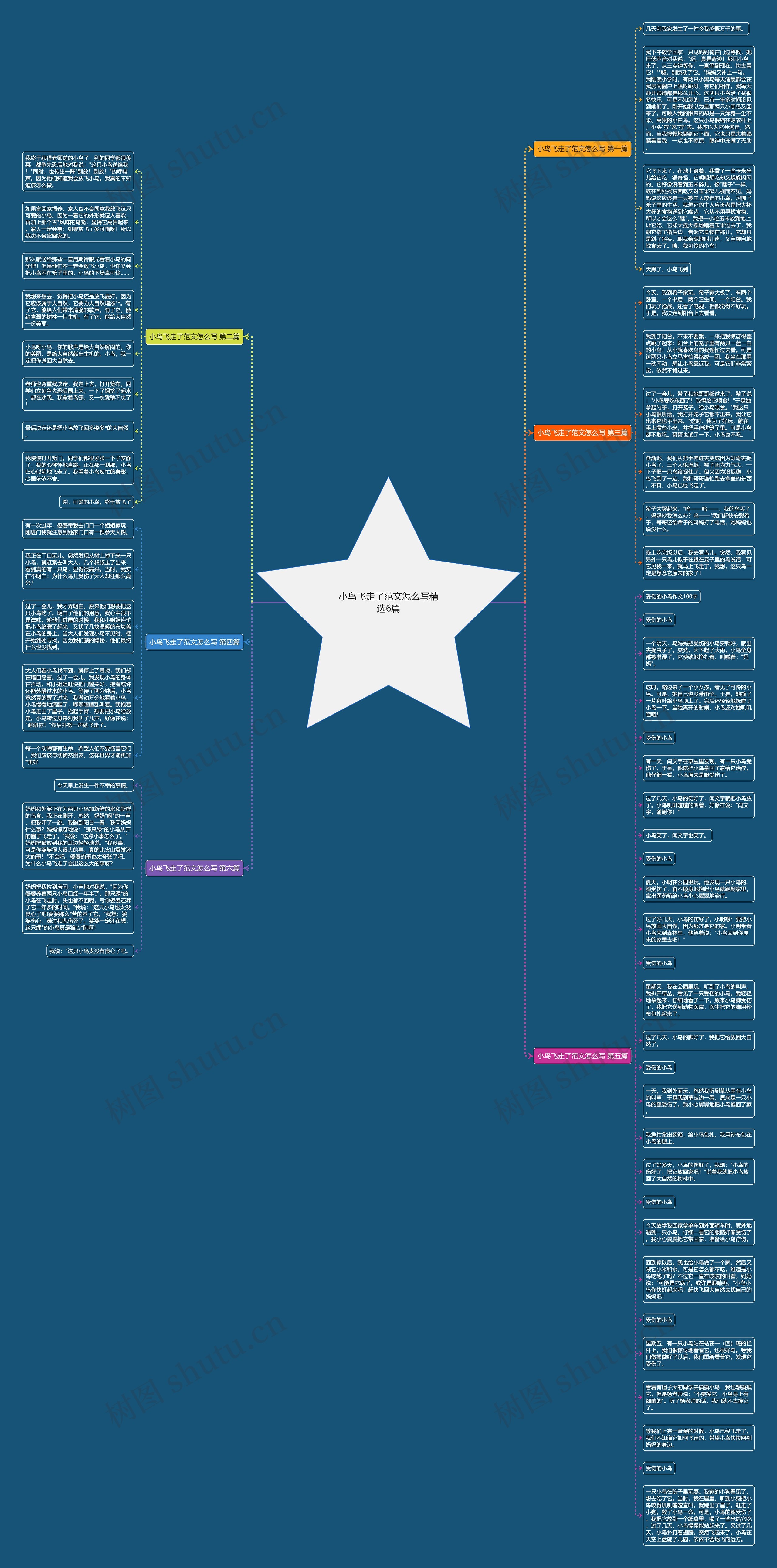 小鸟飞走了范文怎么写精选6篇思维导图