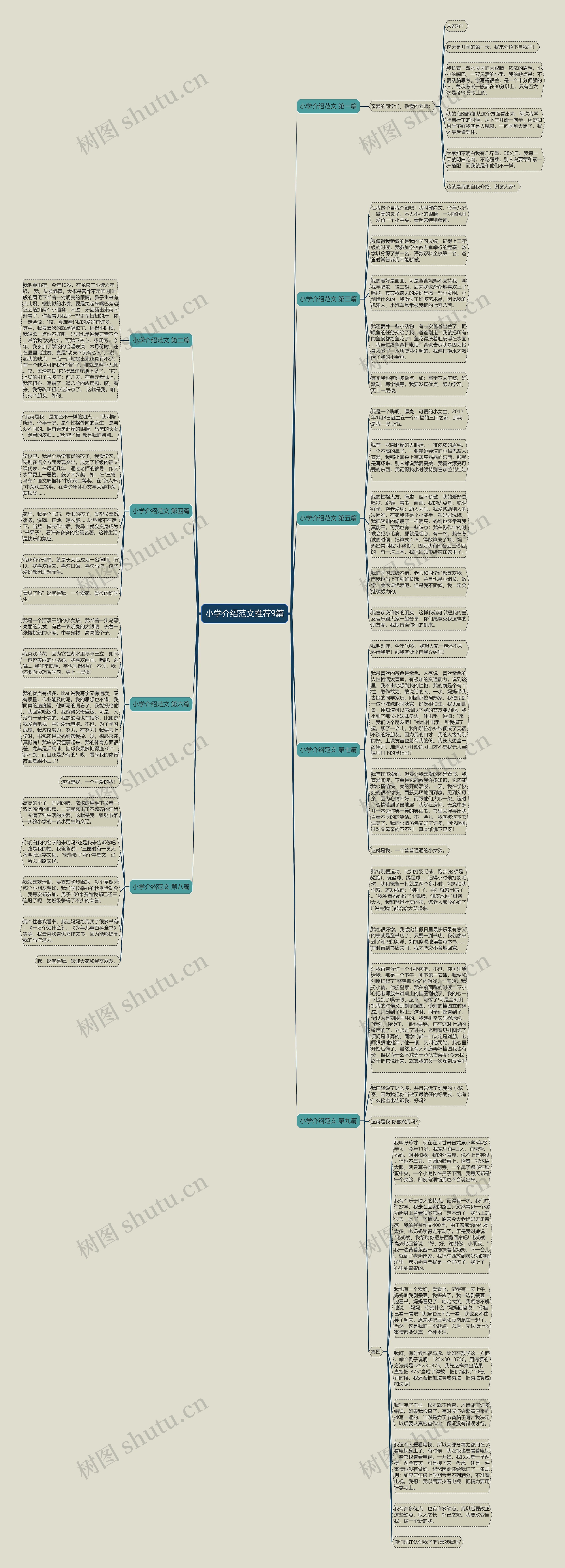 小学介绍范文推荐9篇思维导图