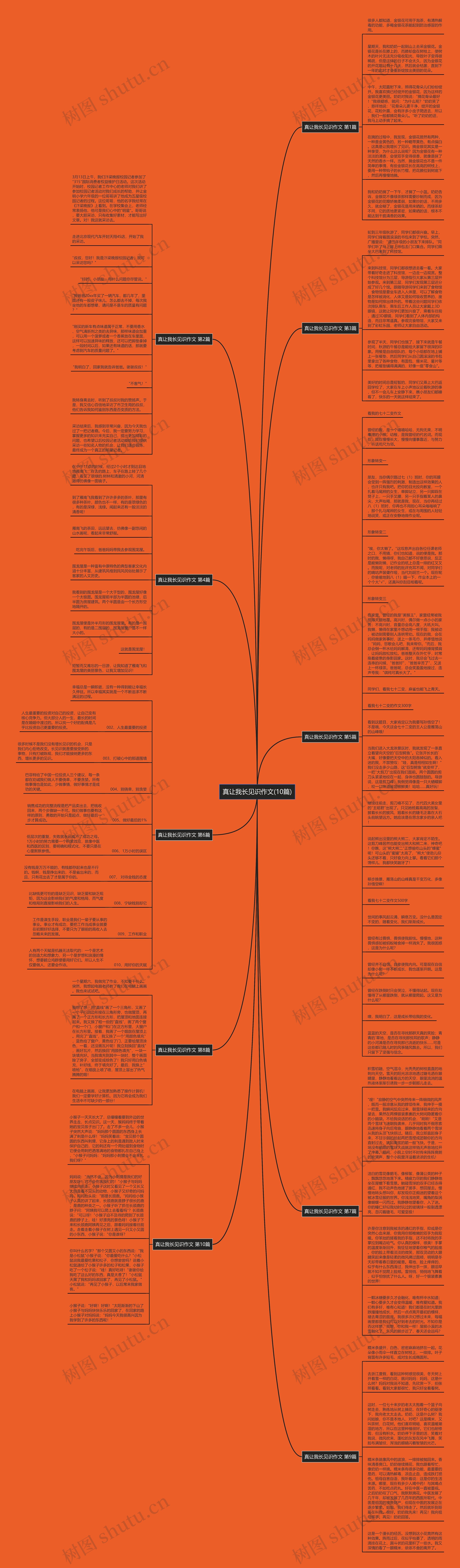 真让我长见识作文(10篇)思维导图