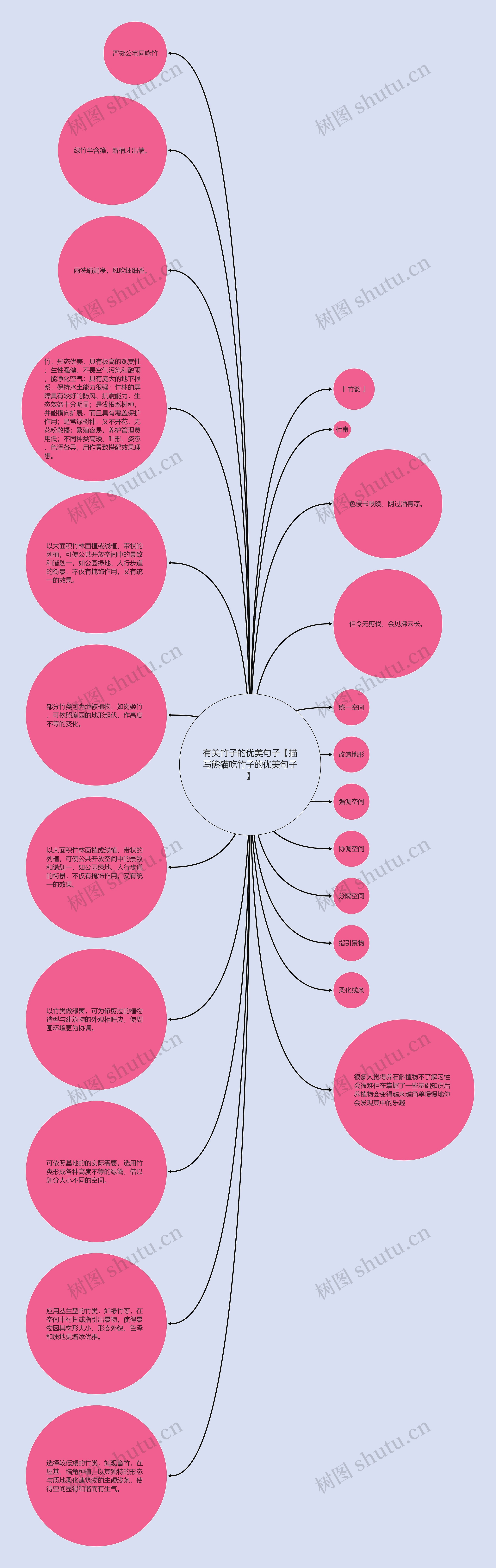 有关竹子的优美句子【描写熊猫吃竹子的优美句子】思维导图
