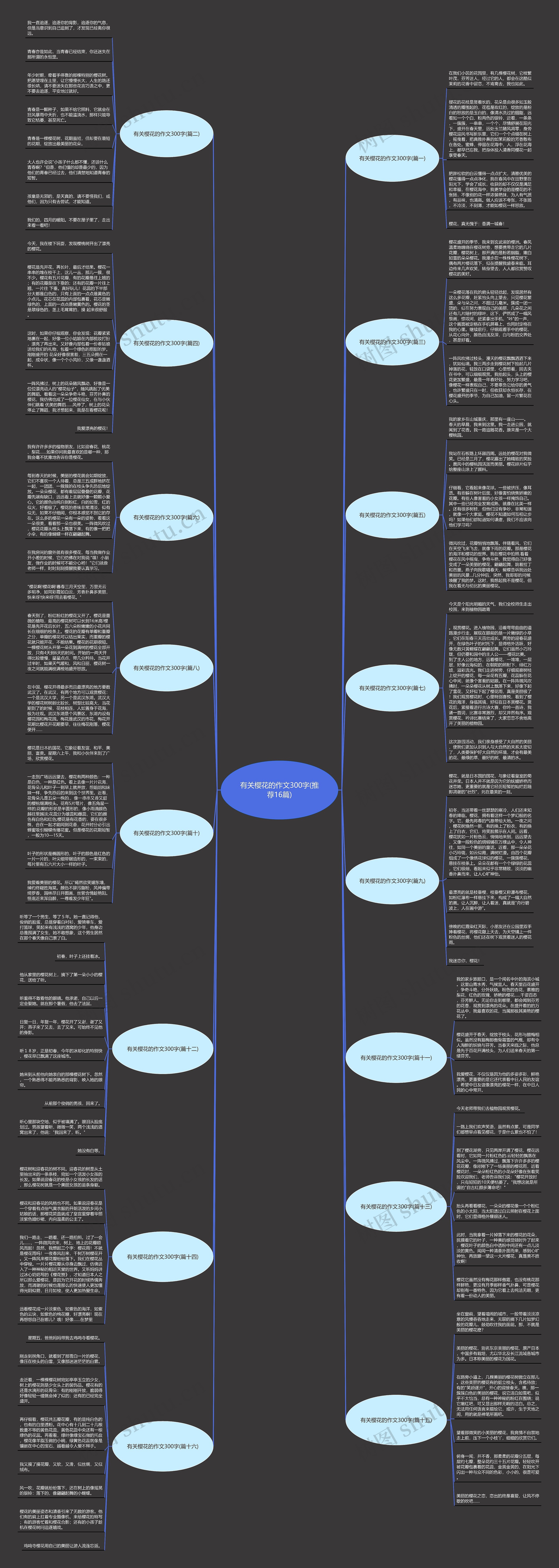 有关樱花的作文300字(推荐16篇)思维导图