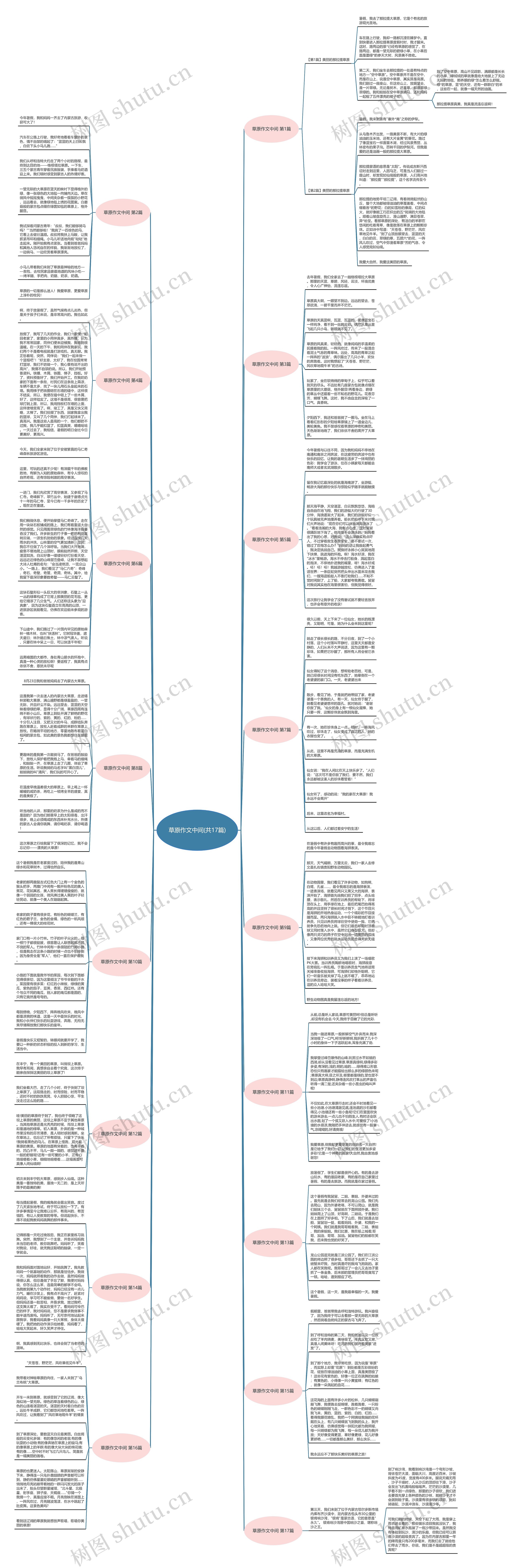 草原作文中间(共17篇)思维导图