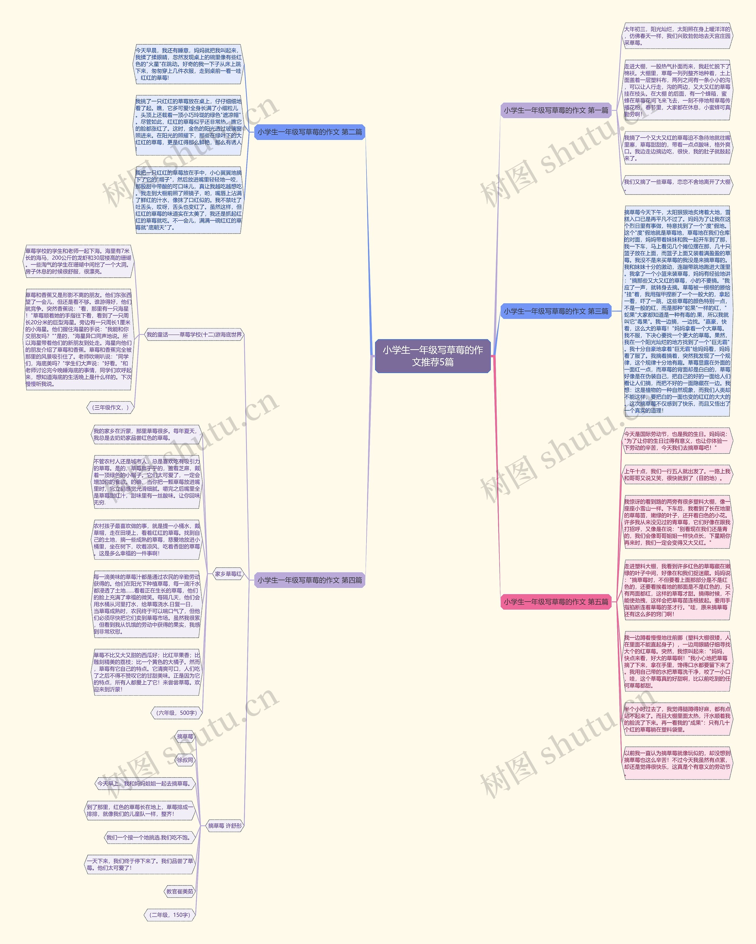 小学生一年级写草莓的作文推荐5篇思维导图