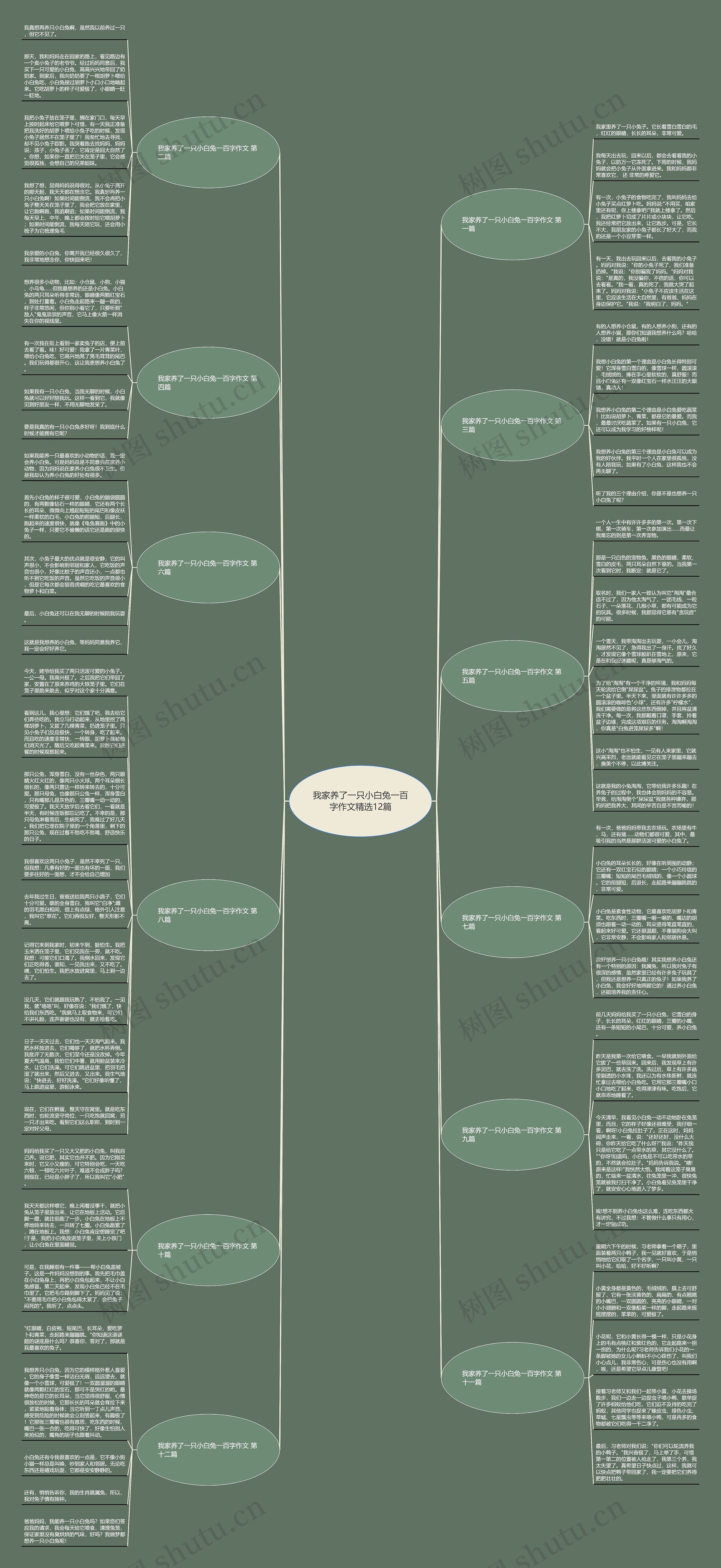 我家养了一只小白兔一百字作文精选12篇思维导图