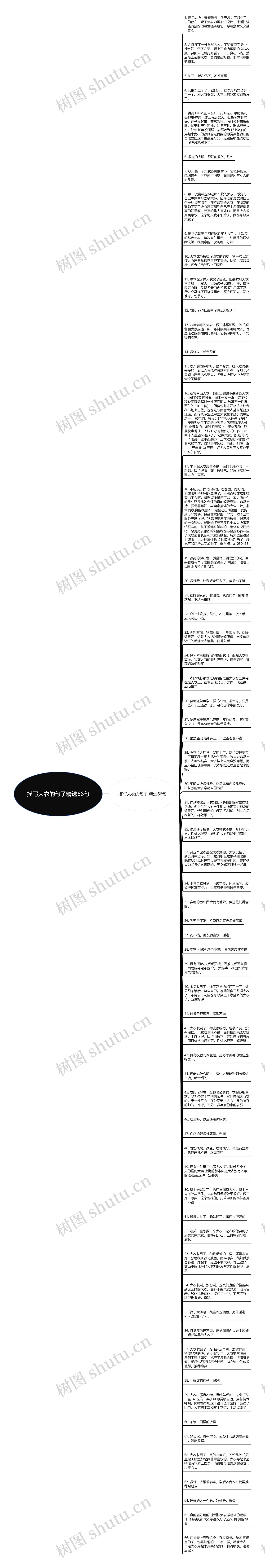 描写大衣的句子精选66句