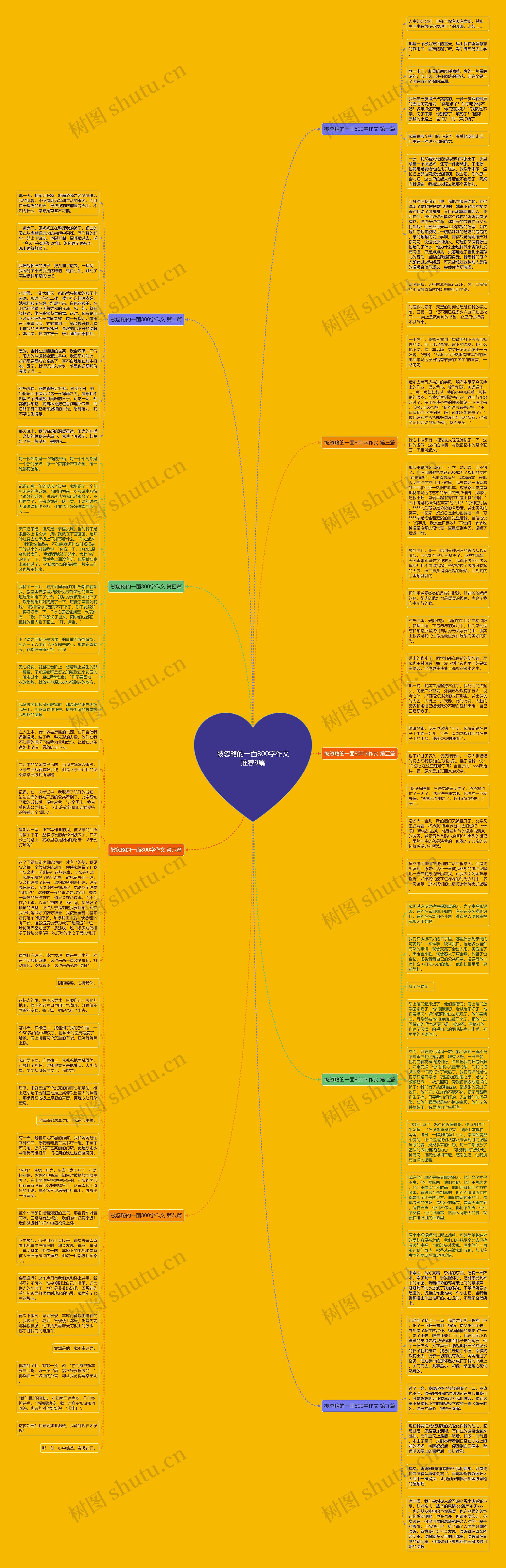 被忽略的一面800字作文推荐9篇思维导图