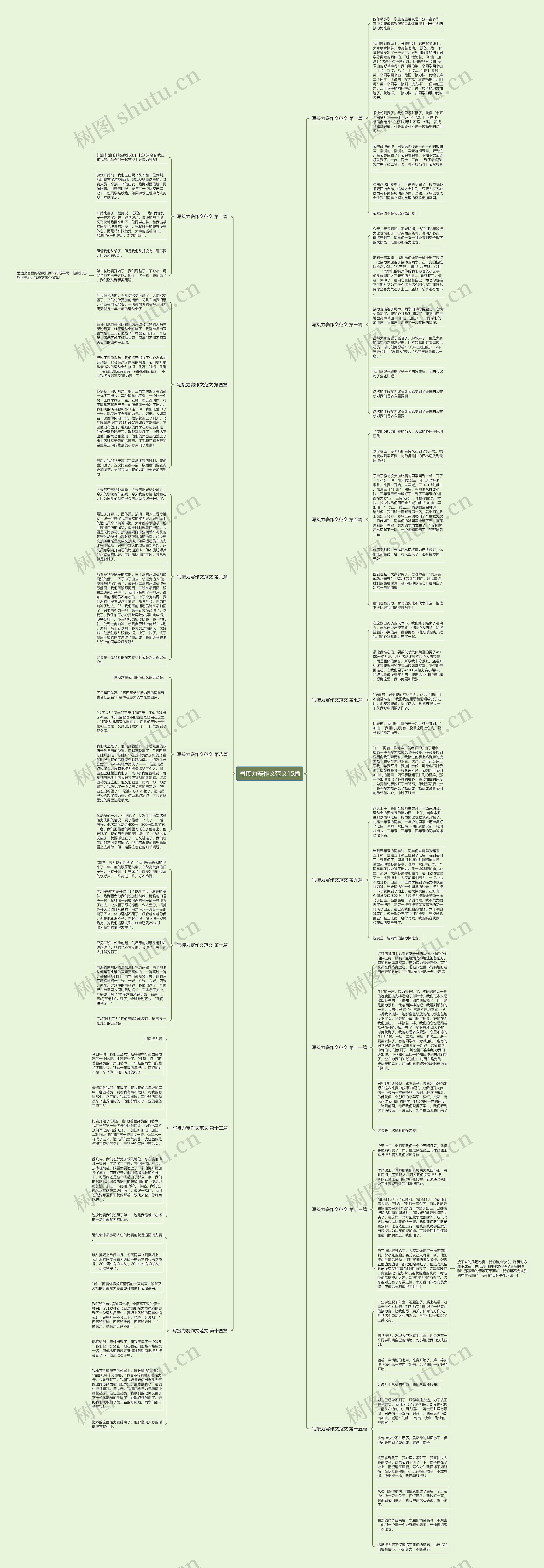 写接力赛作文范文15篇思维导图