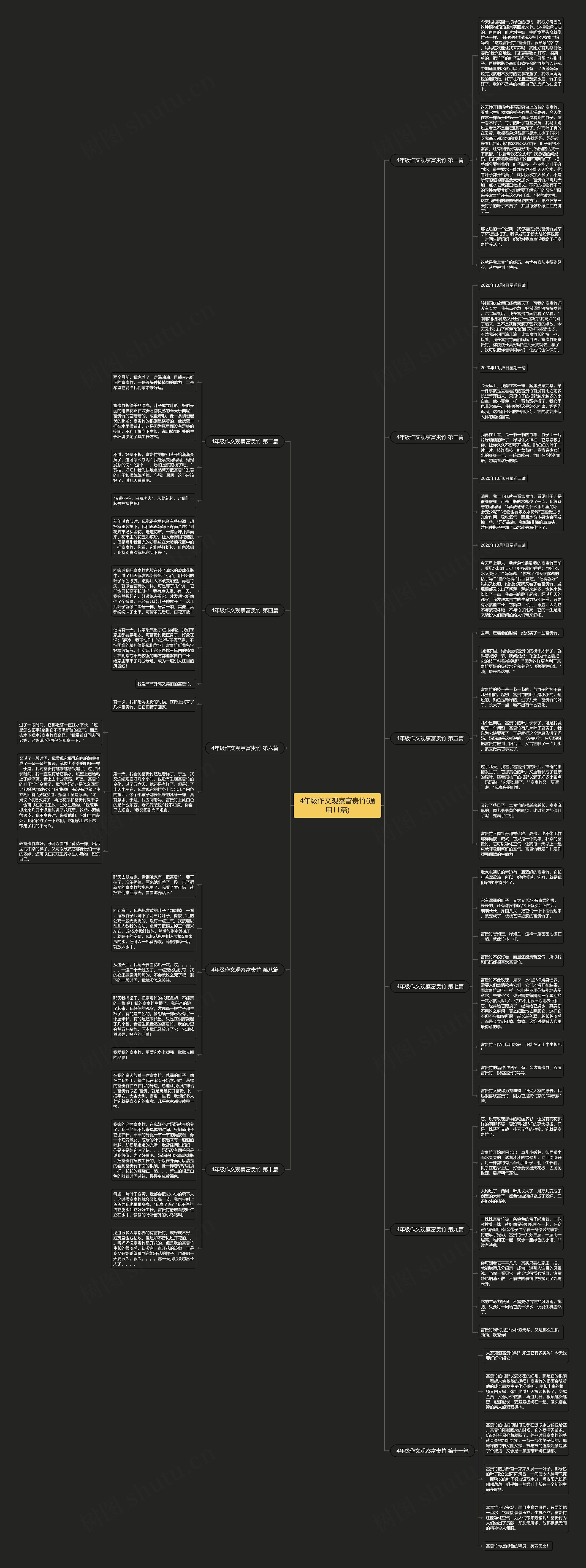 4年级作文观察富贵竹(通用11篇)思维导图