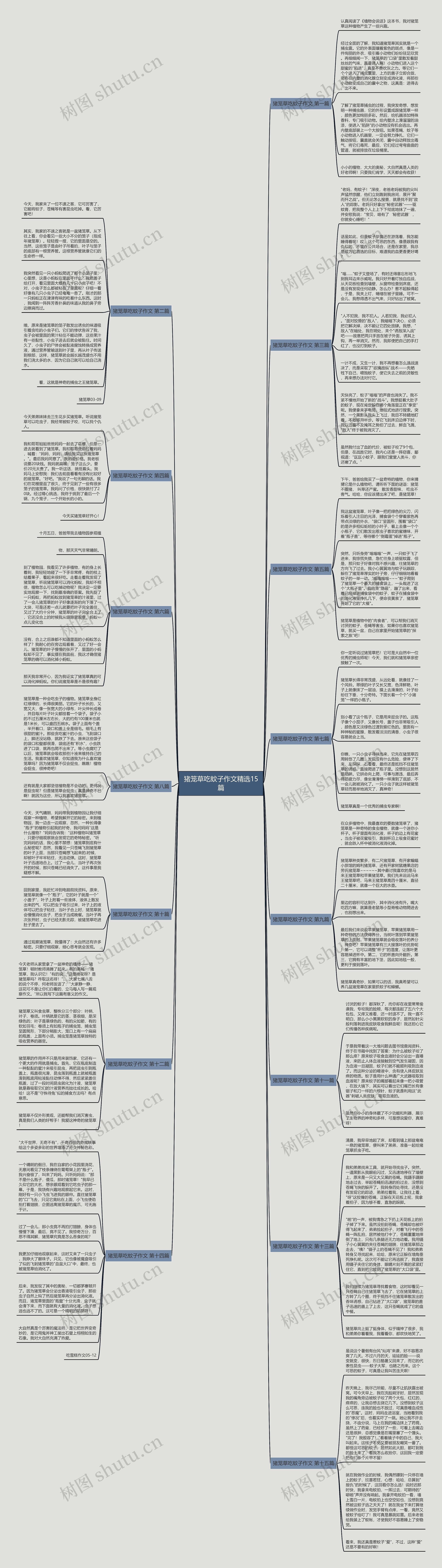 猪笼草吃蚊子作文精选15篇思维导图