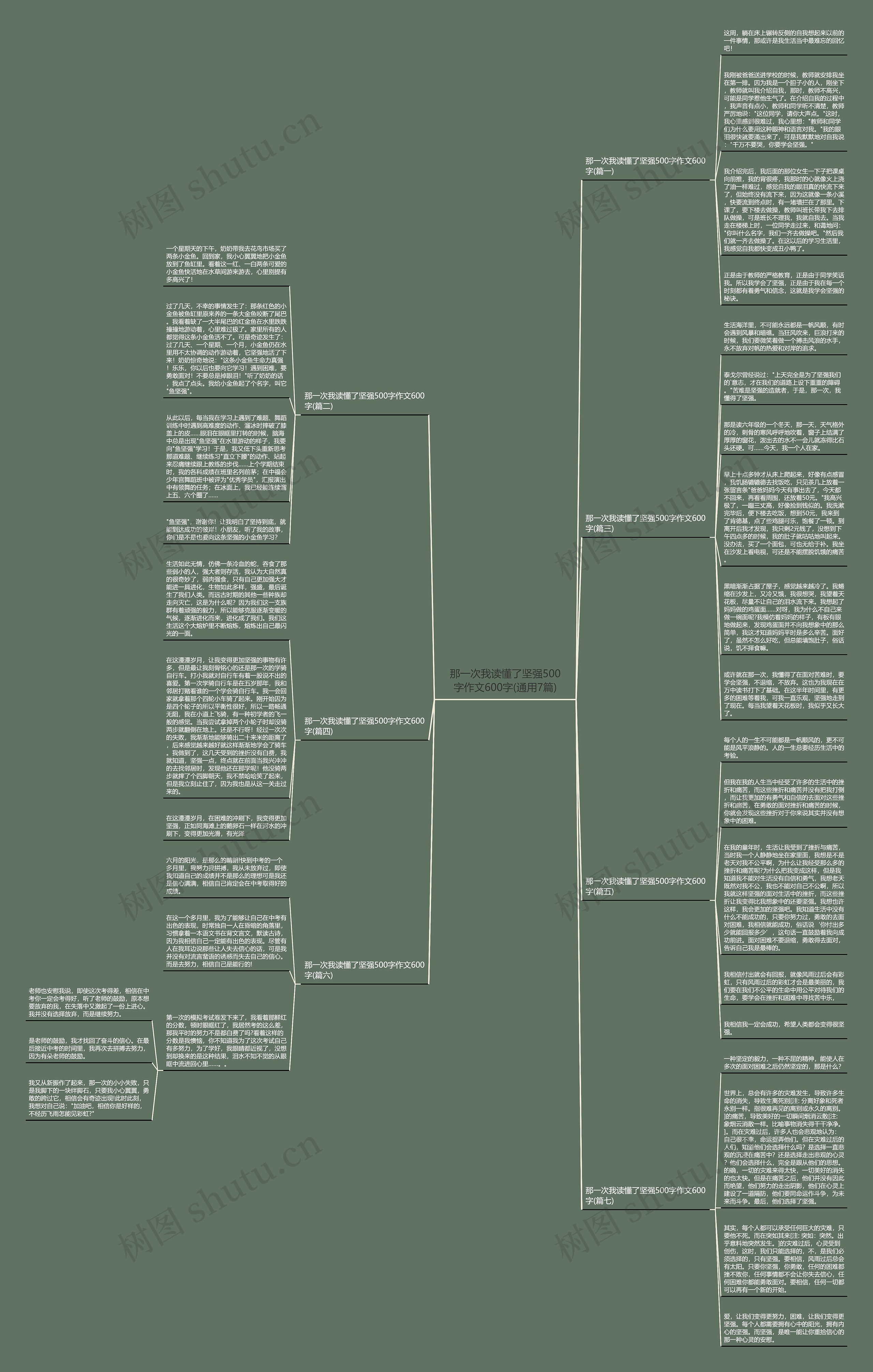 那一次我读懂了坚强500字作文600字(通用7篇)思维导图