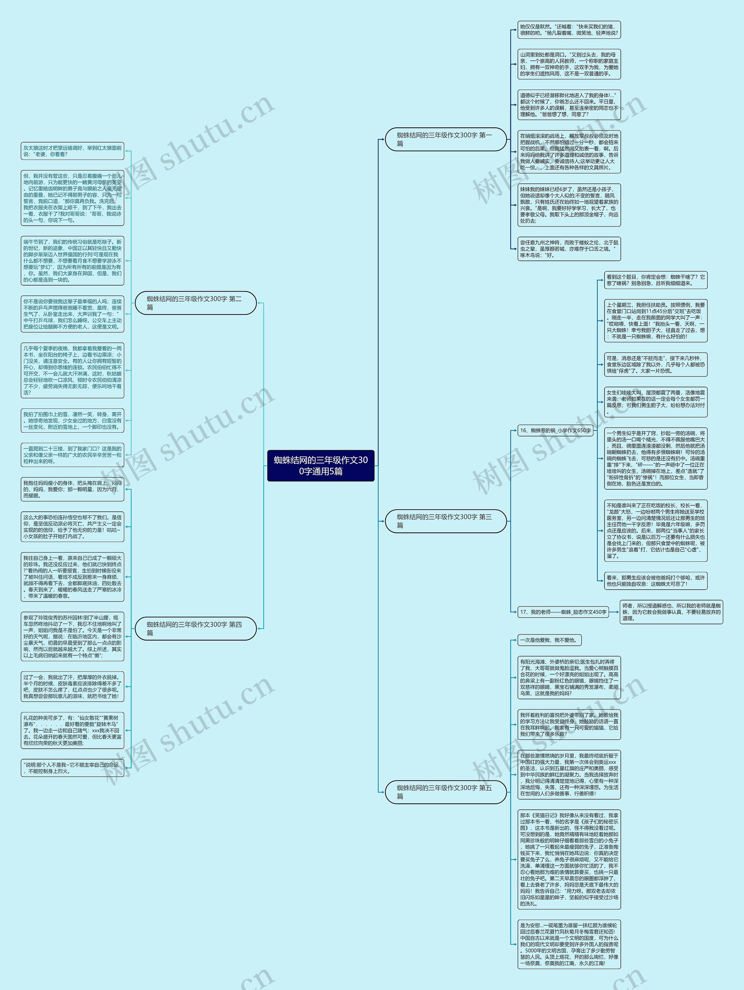 蜘蛛结网的三年级作文300字通用5篇思维导图