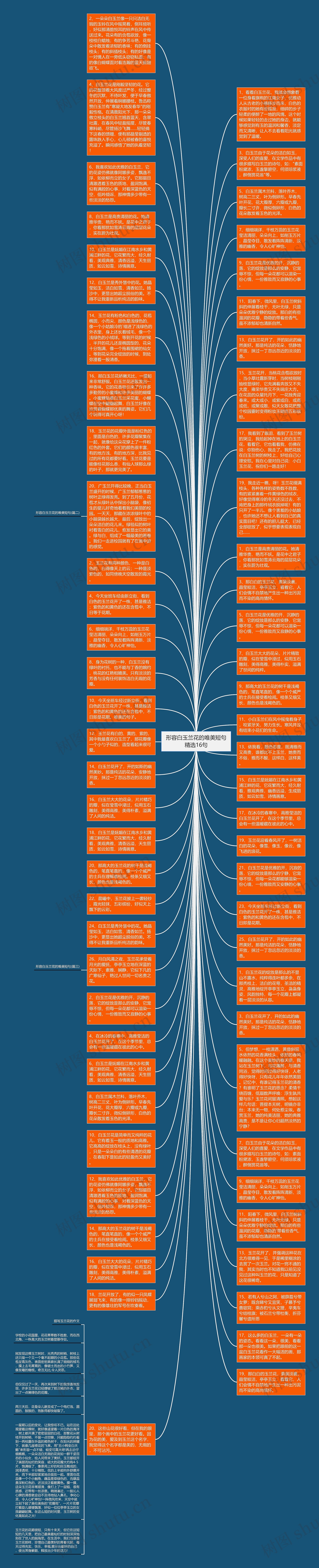 形容白玉兰花的唯美短句精选16句思维导图