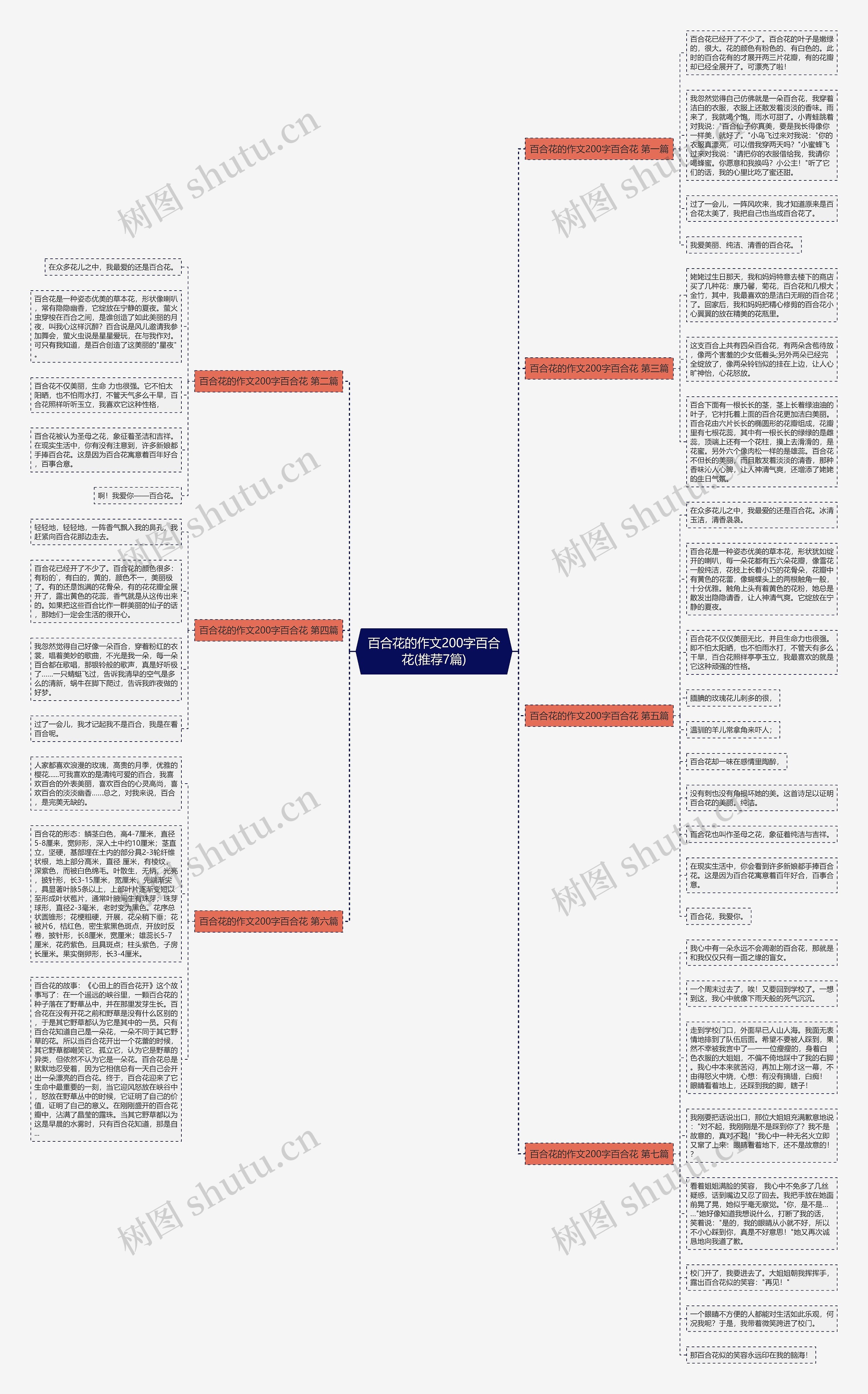 百合花的作文200字百合花(推荐7篇)思维导图