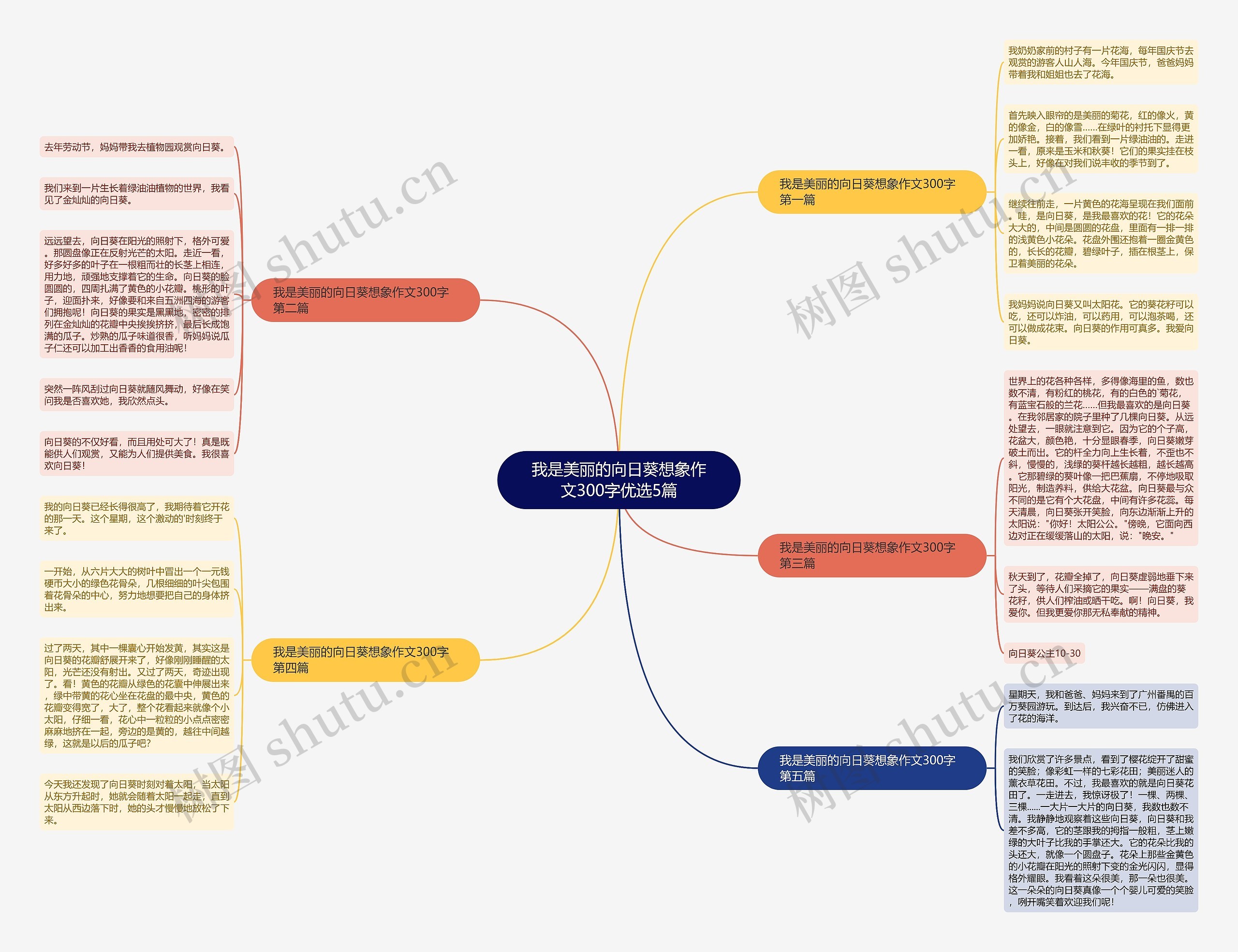 我是美丽的向日葵想象作文300字优选5篇思维导图