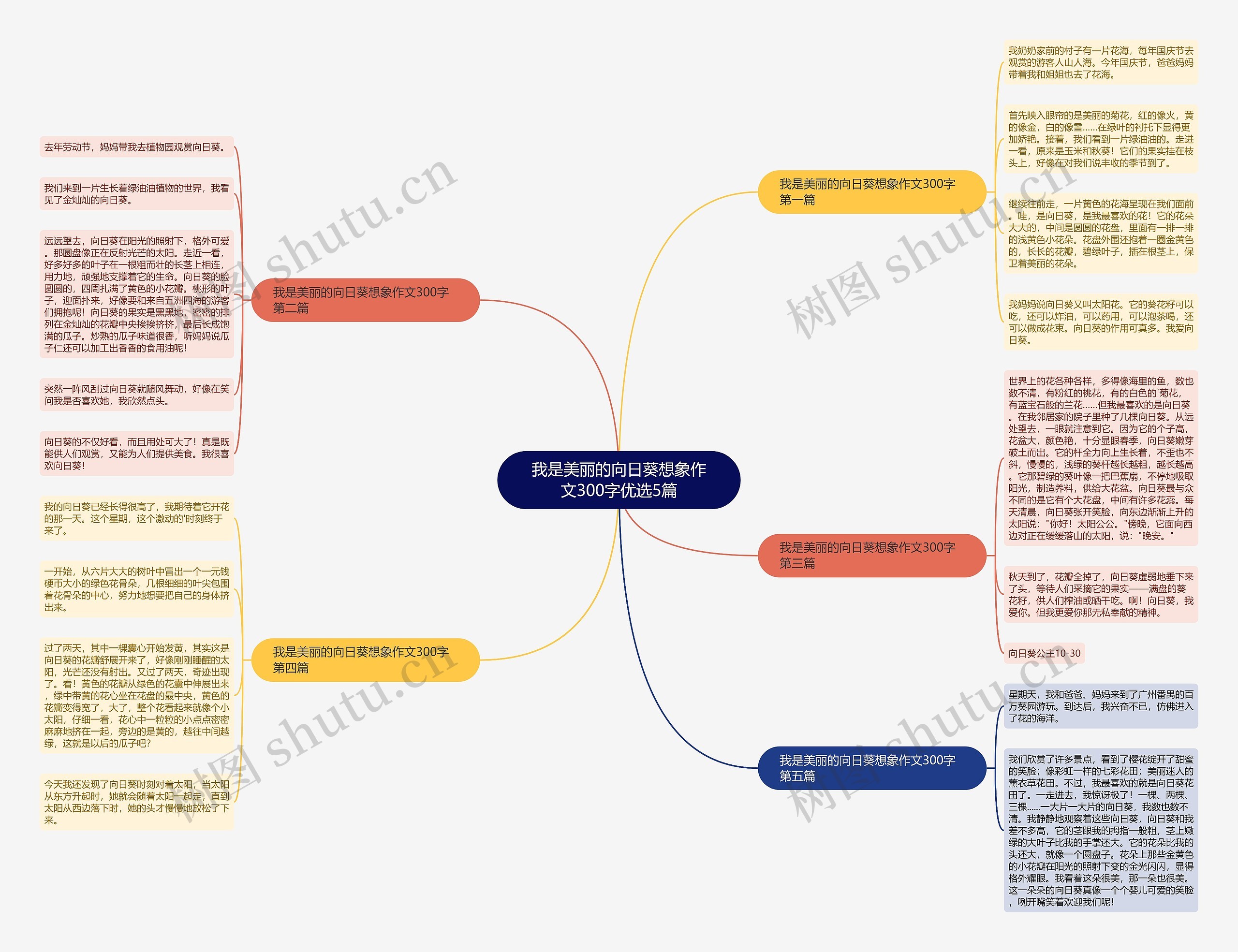 我是美丽的向日葵想象作文300字优选5篇 我是美丽的向日葵想象作文300字优选5篇
